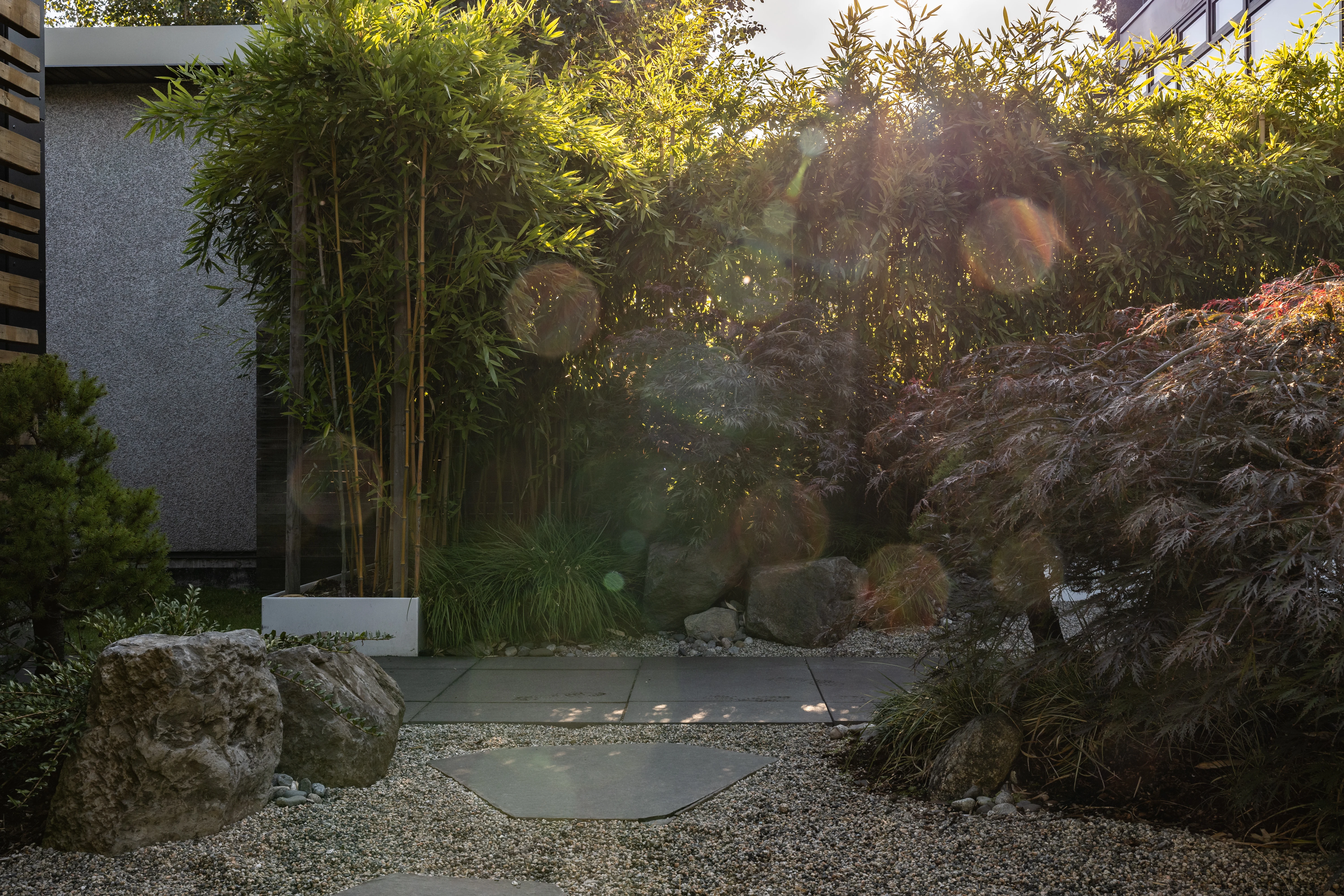 Gravel garden with boulders and red-leaf shrubs in afternoon light at West 9th