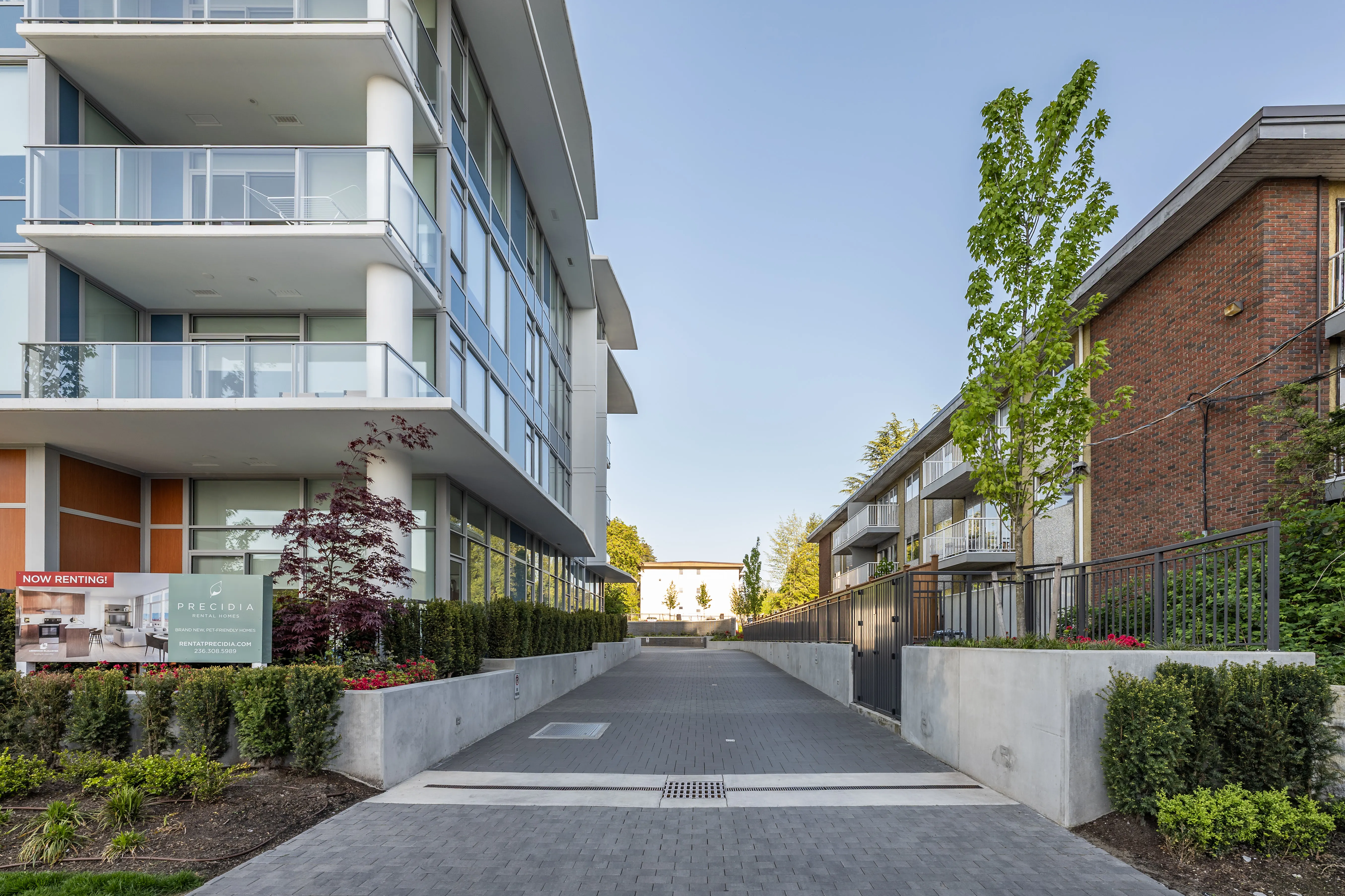 Laneway with retaining walls and planting at Precidia