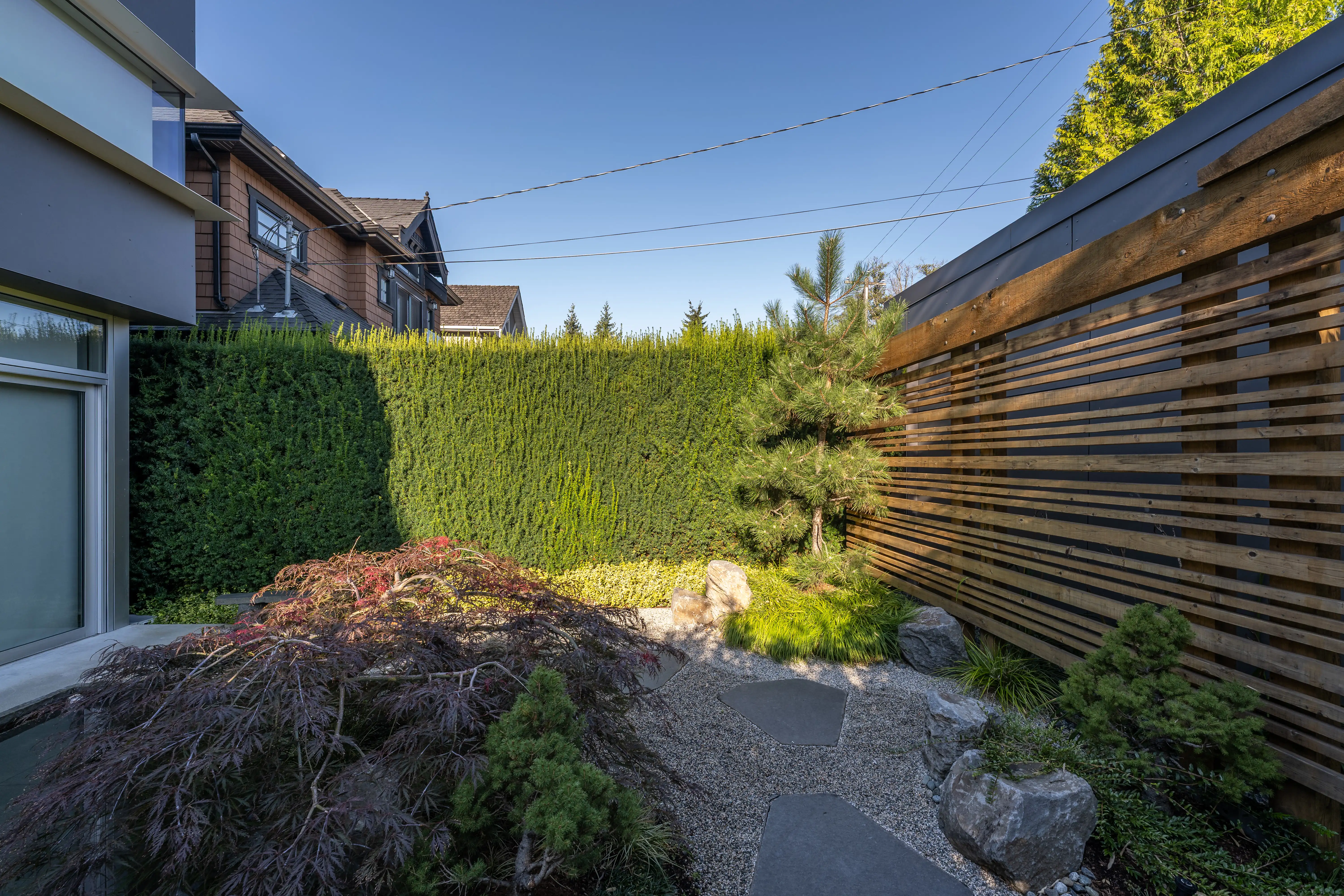 Red-leaf shrub and stepping stones between a hedge and timber screen at West 9th