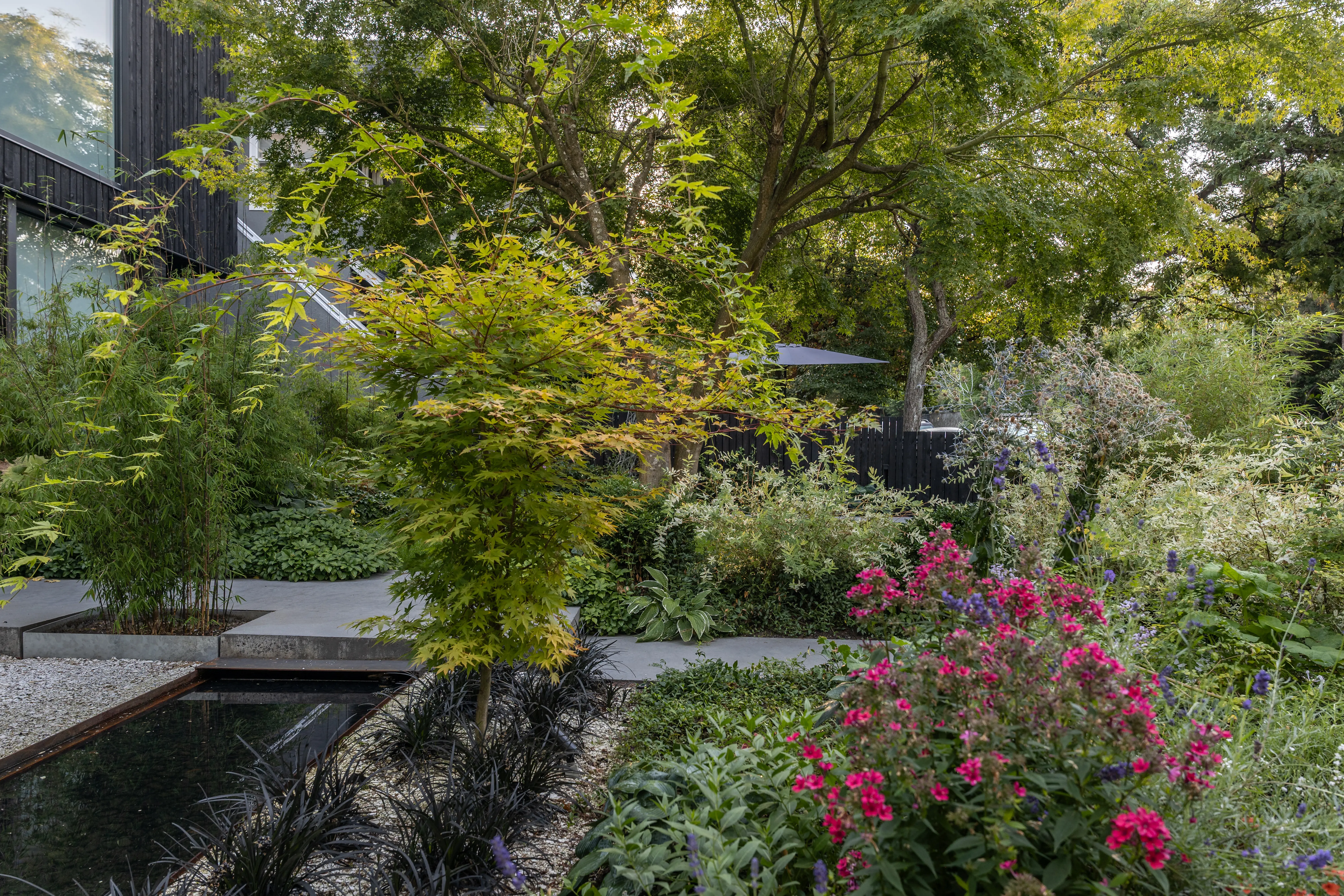Mixed planting with pink flowers beside a water channel at West 1st