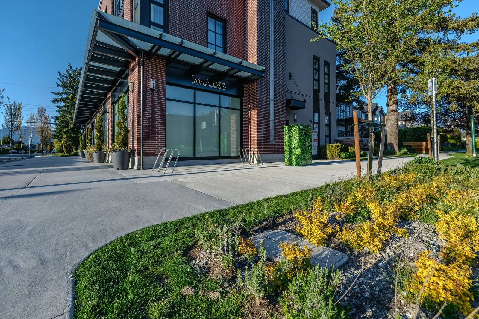 Flowering shrub planting along a sidewalk at Westbury Townhomes