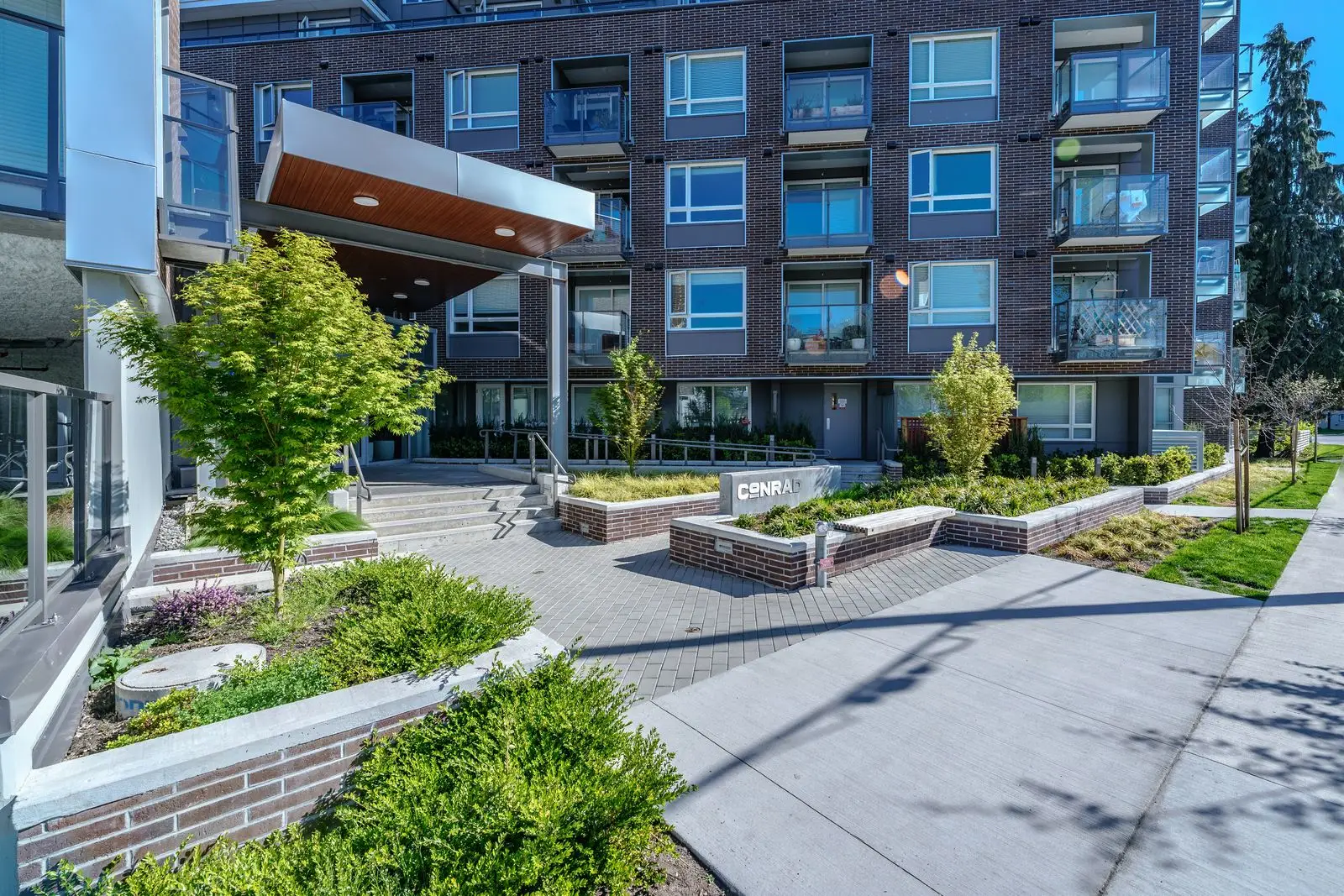 Courtyard walkway with planters and young trees at Conrad