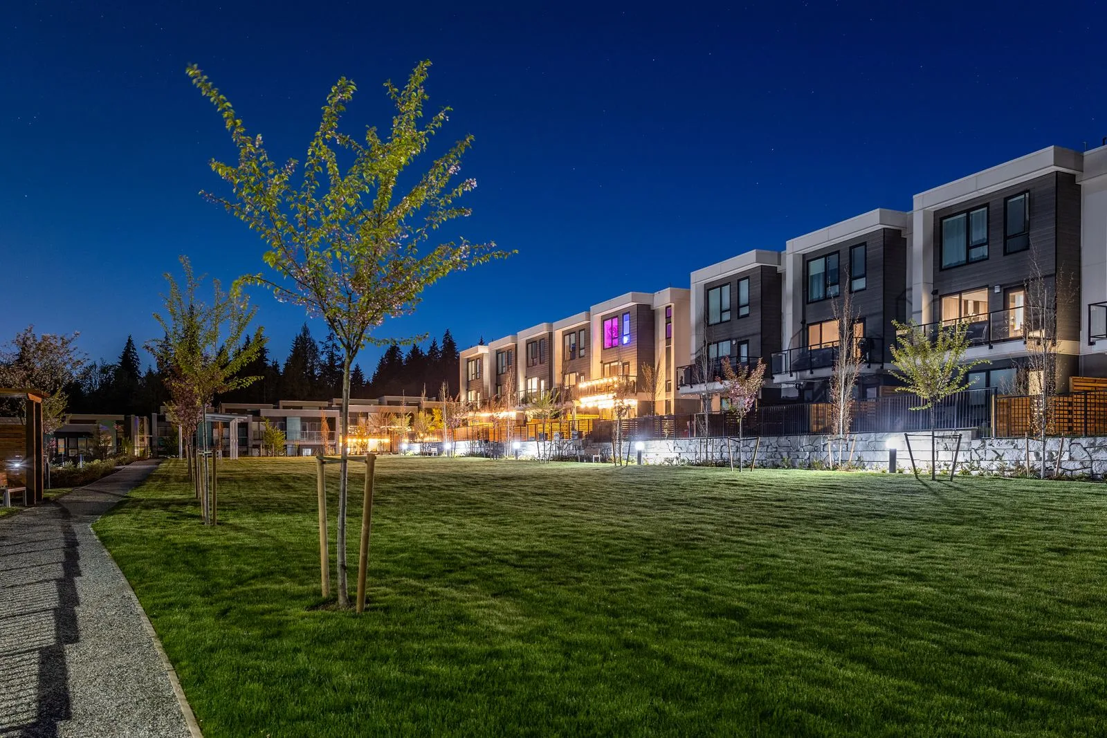 Lawn and young tree with lit townhomes at night at Seymour Village Amenity Park