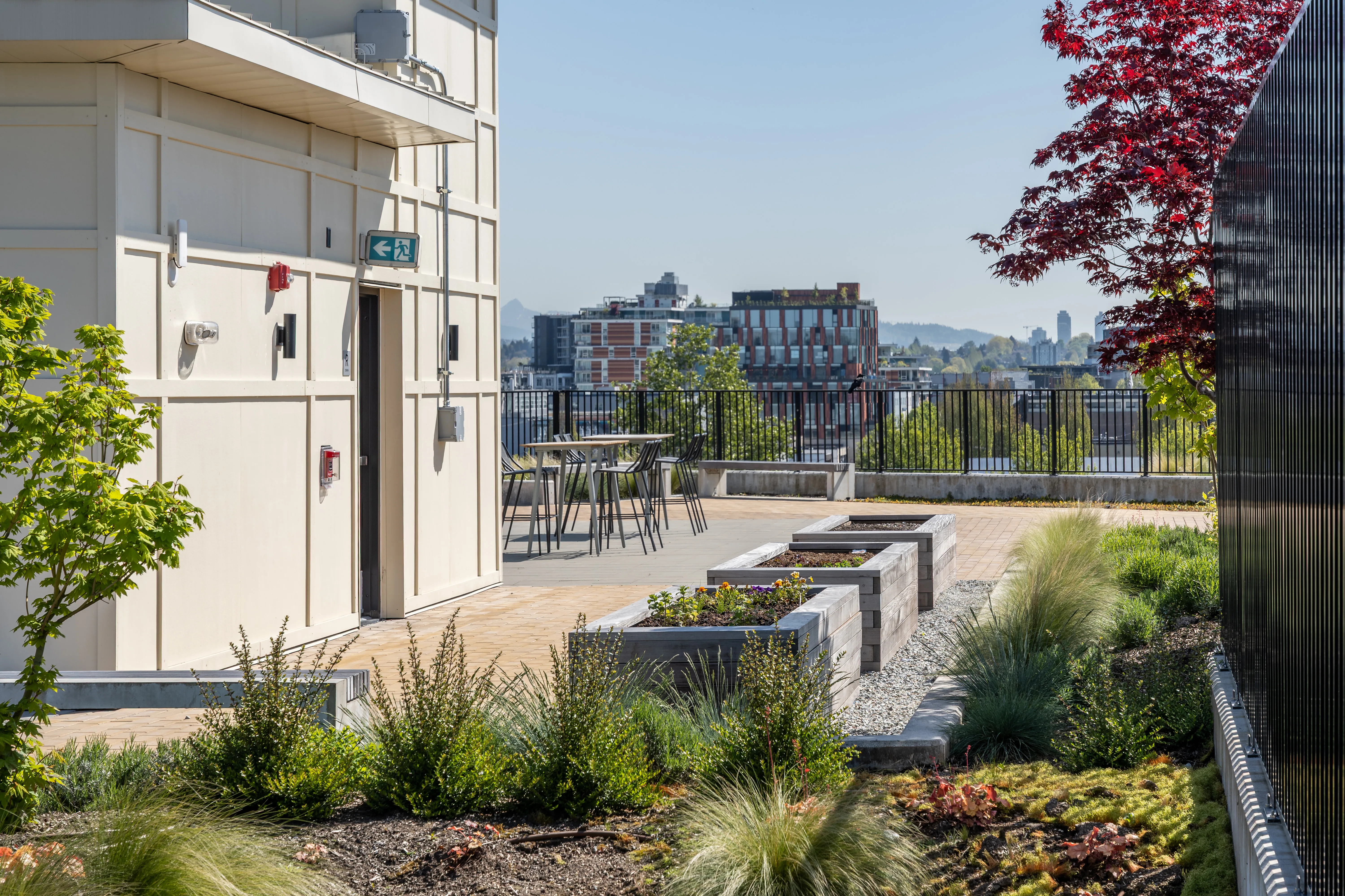 Rooftop terrace planting with seating and city views at Ofisworks