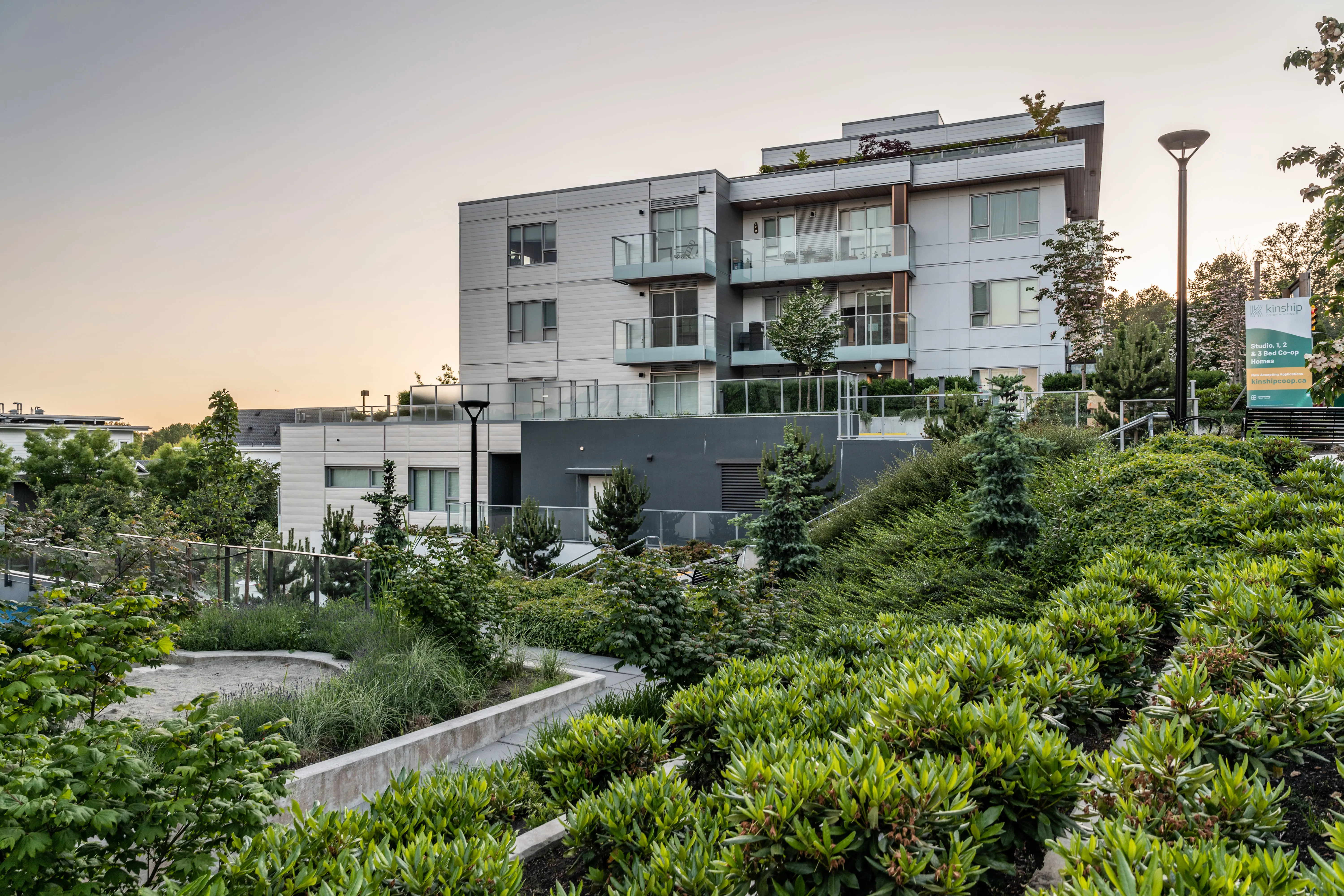Mounded evergreen planting and light posts on a terrace at Kinship