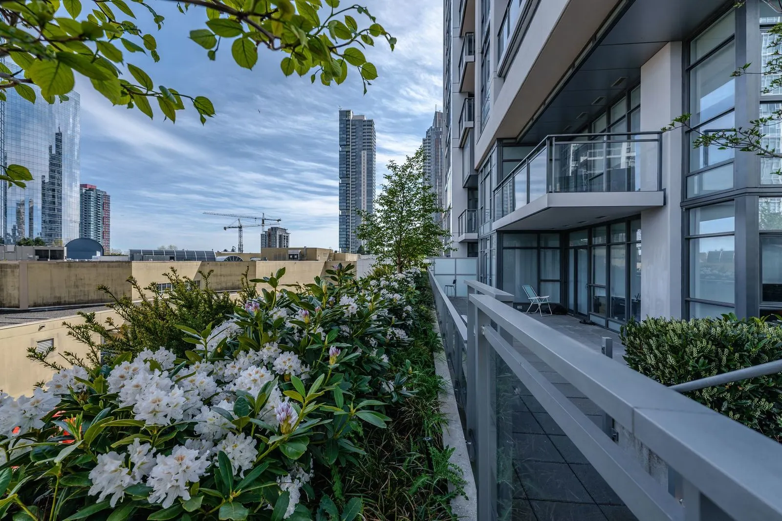 White flowering shrubs in a planter beside a building at Station Square 2 and 3