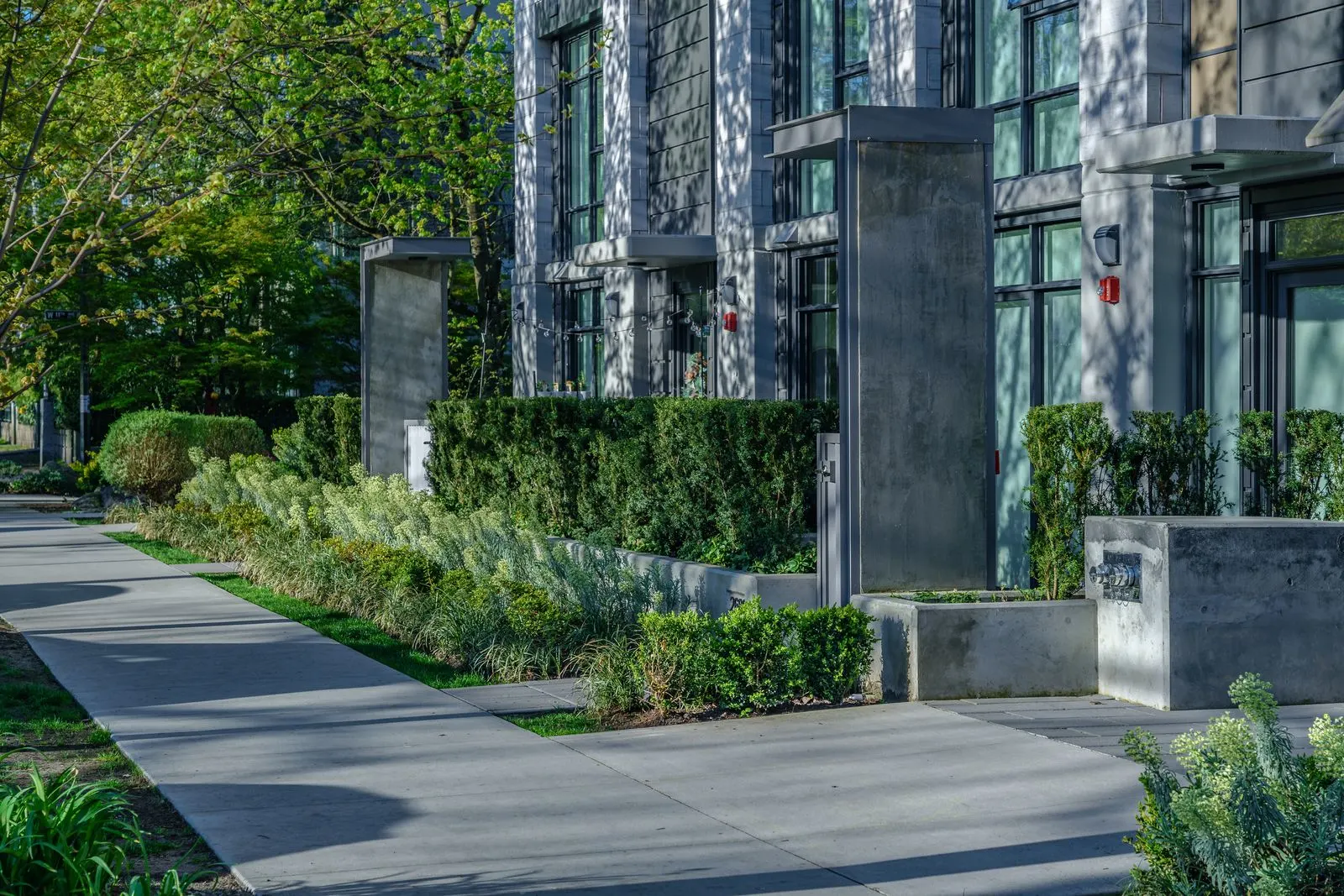 Hedges and shrub planting along a building walkway at Eleven West