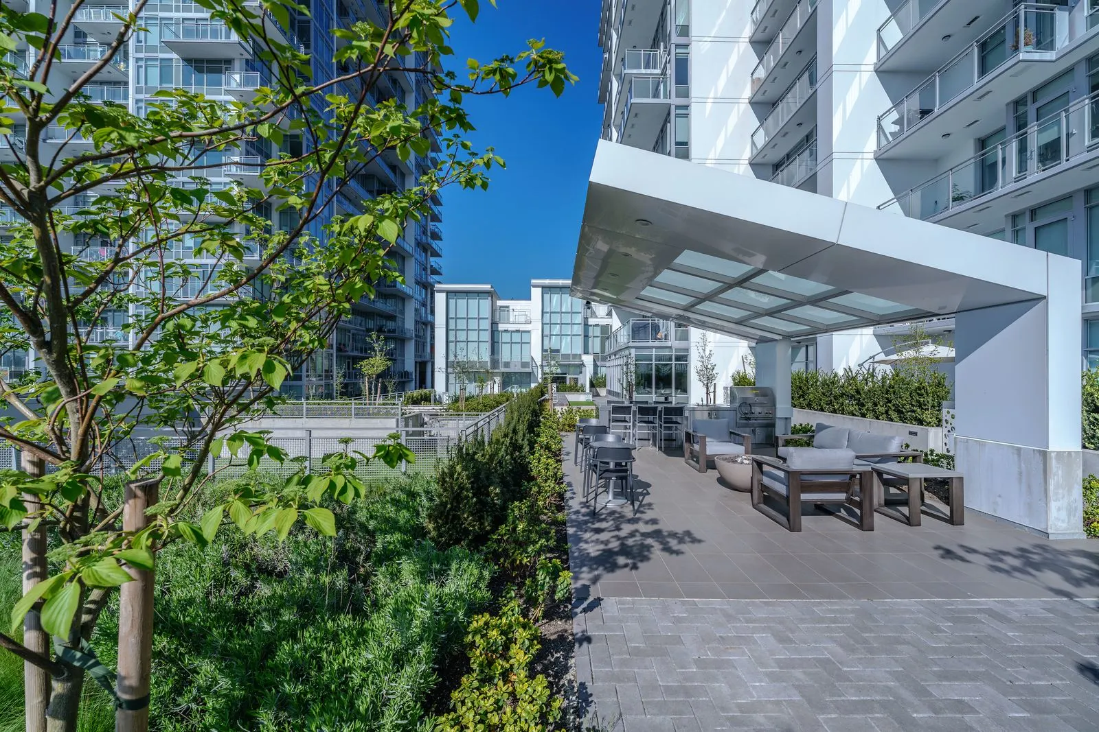Covered rooftop seating area framed by trees and planting at Brewery District 6