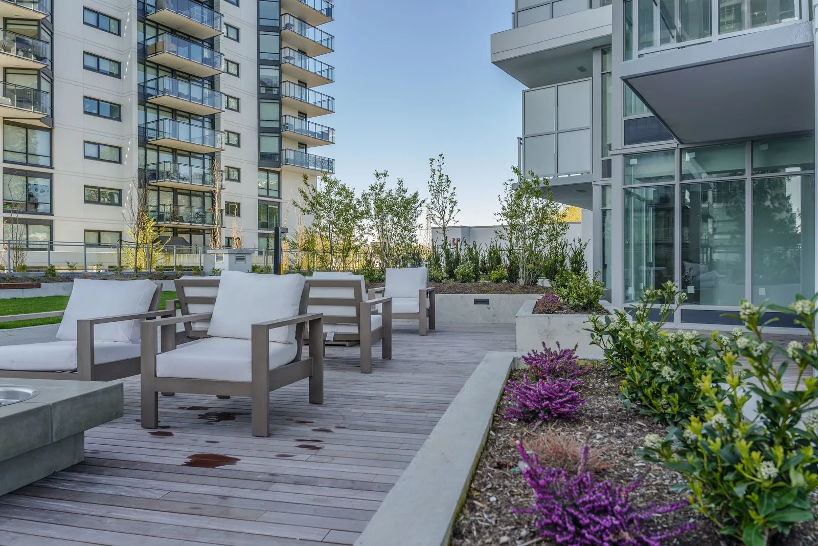 Lounge chairs on a timber deck with flowering planting at Alpha Lumina