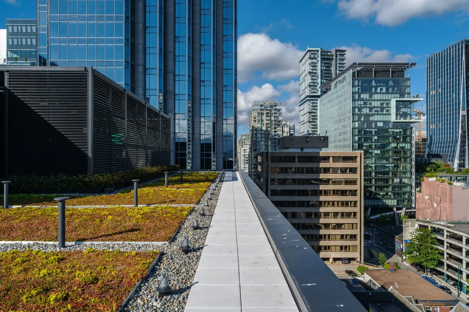 Green roof planting along a rooftop walkway among towers at Amazon Downtown