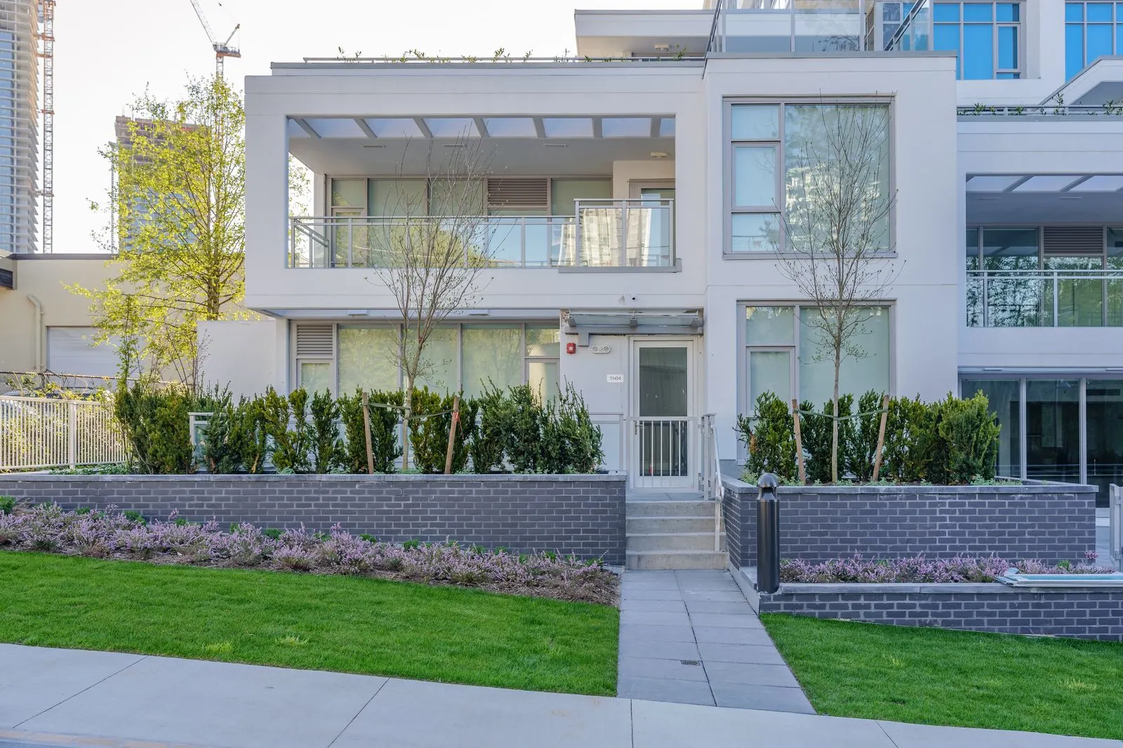 Lawn and hedge in front of a townhome entry at Alpha Lumina