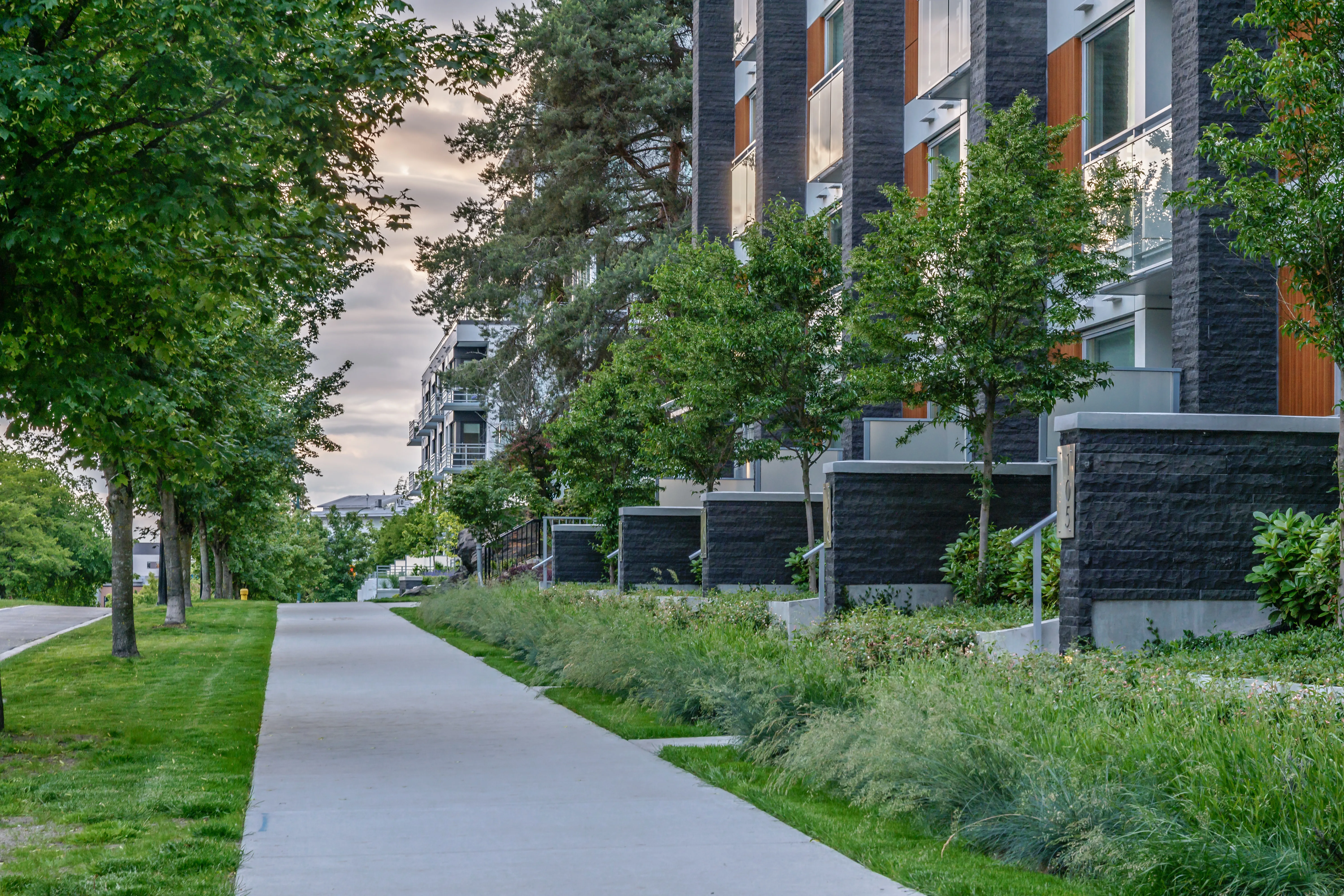 Tree-lined sidewalk and planted boulevard along a residential building at Basalt