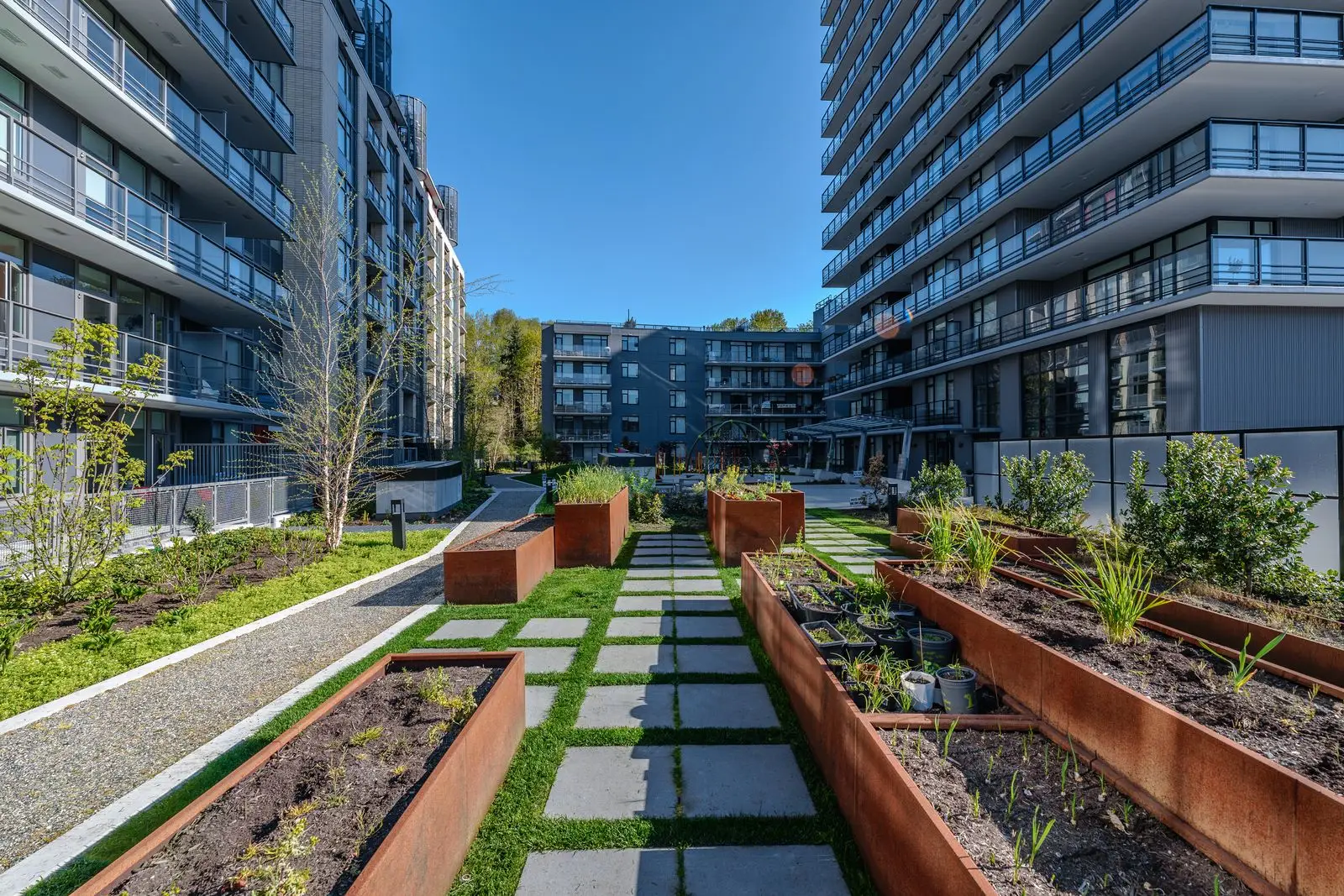 Weathering steel planters along a stepping stone path in a courtyard at Quartet