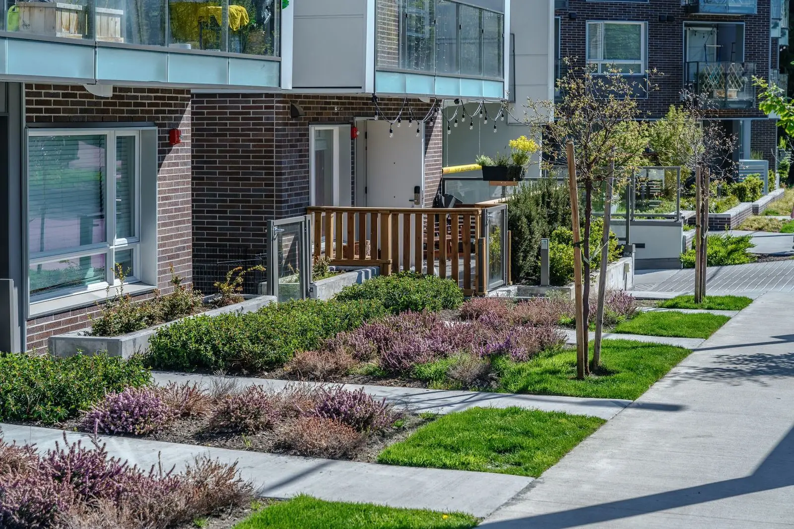 Heather and shrub planting along townhome patios at Conrad