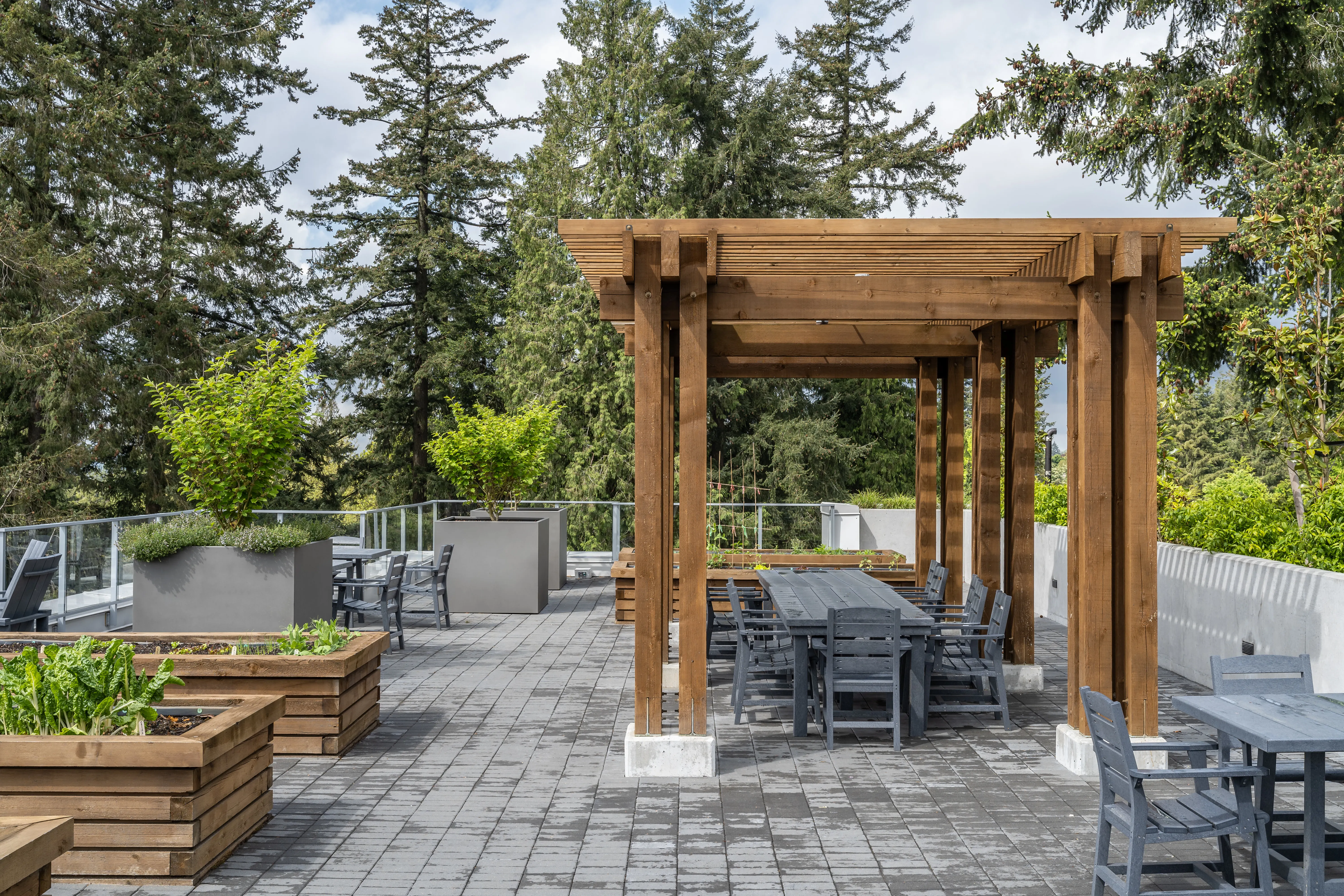 Timber pergola and raised planters on a paver terrace at L'Arche Community Centre