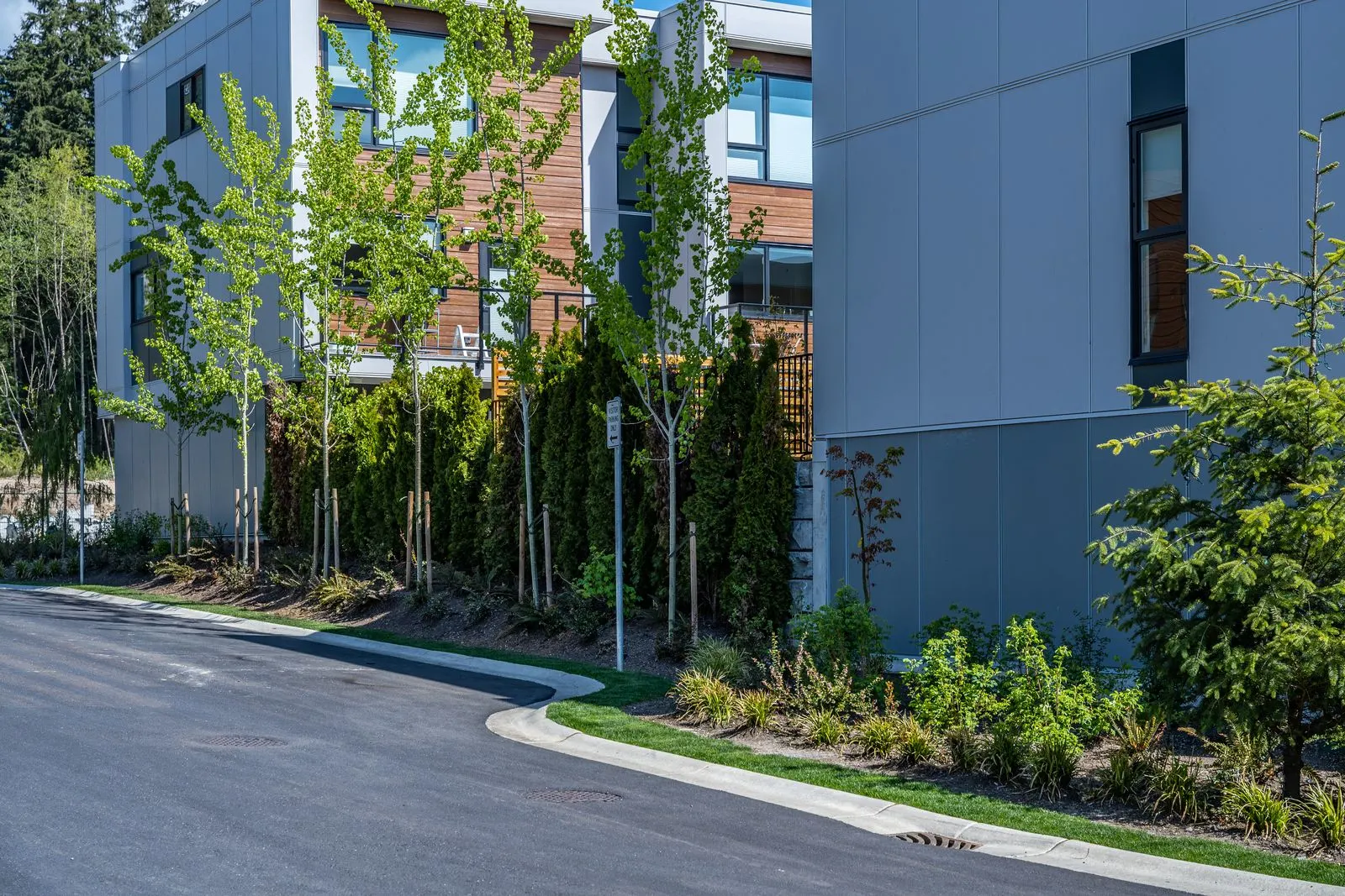 Roadside planting and trees between townhome blocks at Seymour Village Amenity Park