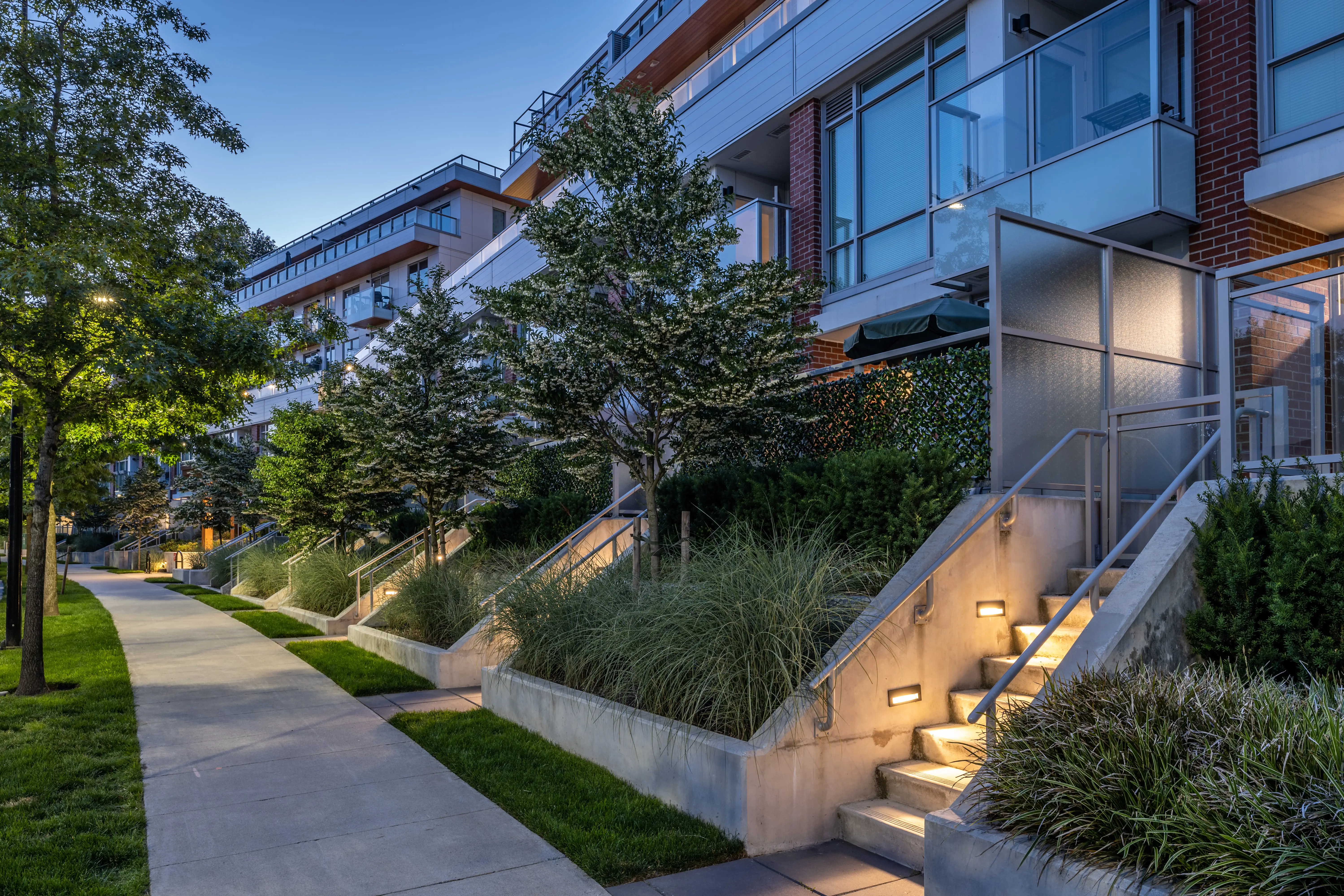 Lit stairs and grass planting along a residential walkway at Kinship