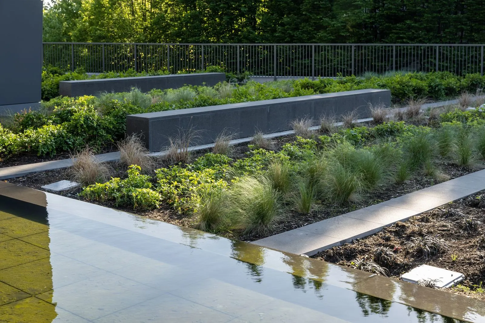 Linear water feature beside grass planting beds at Brentwood 1A