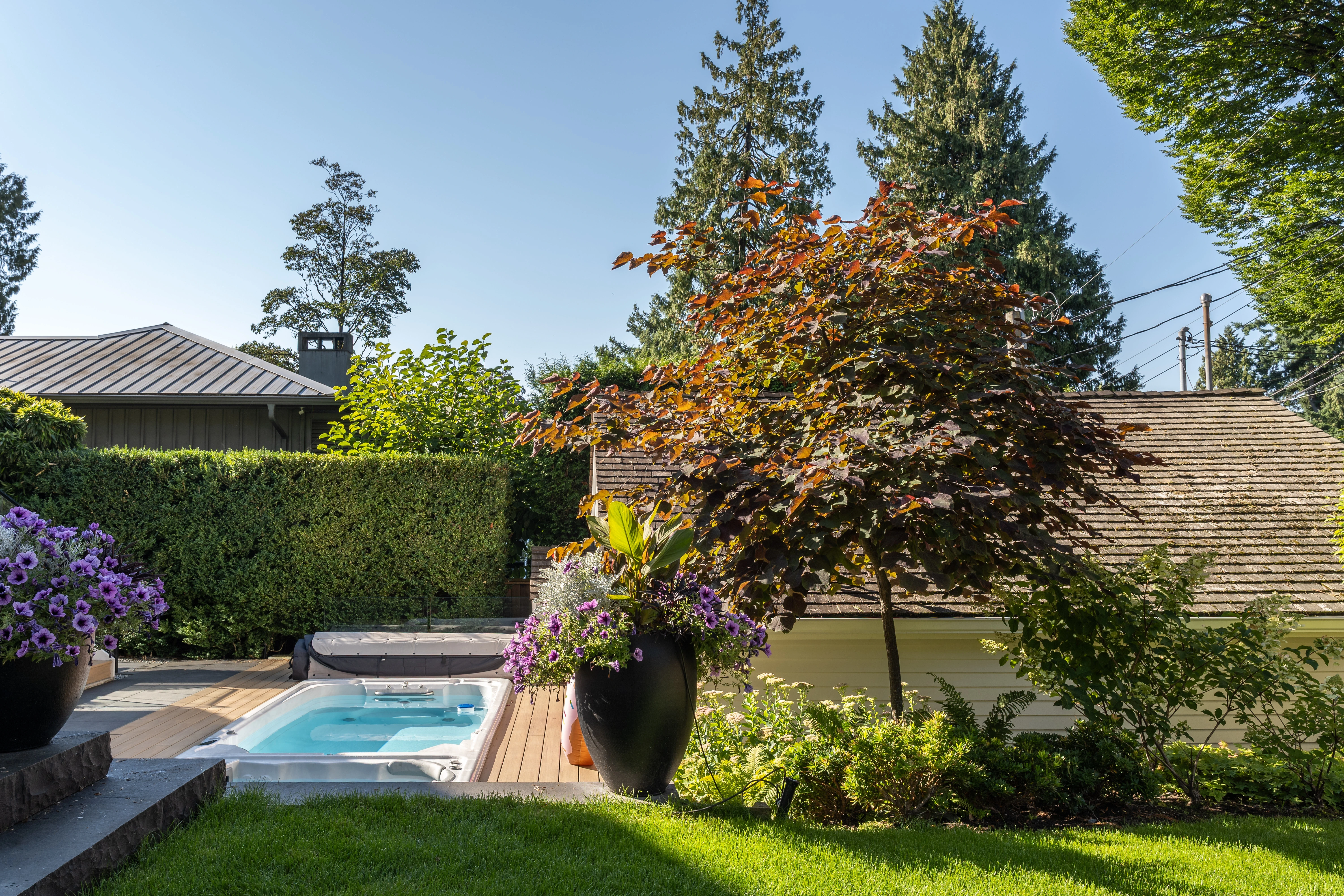 Lawn and swim spa with shrubs and a red-leaf tree at MacKenzie