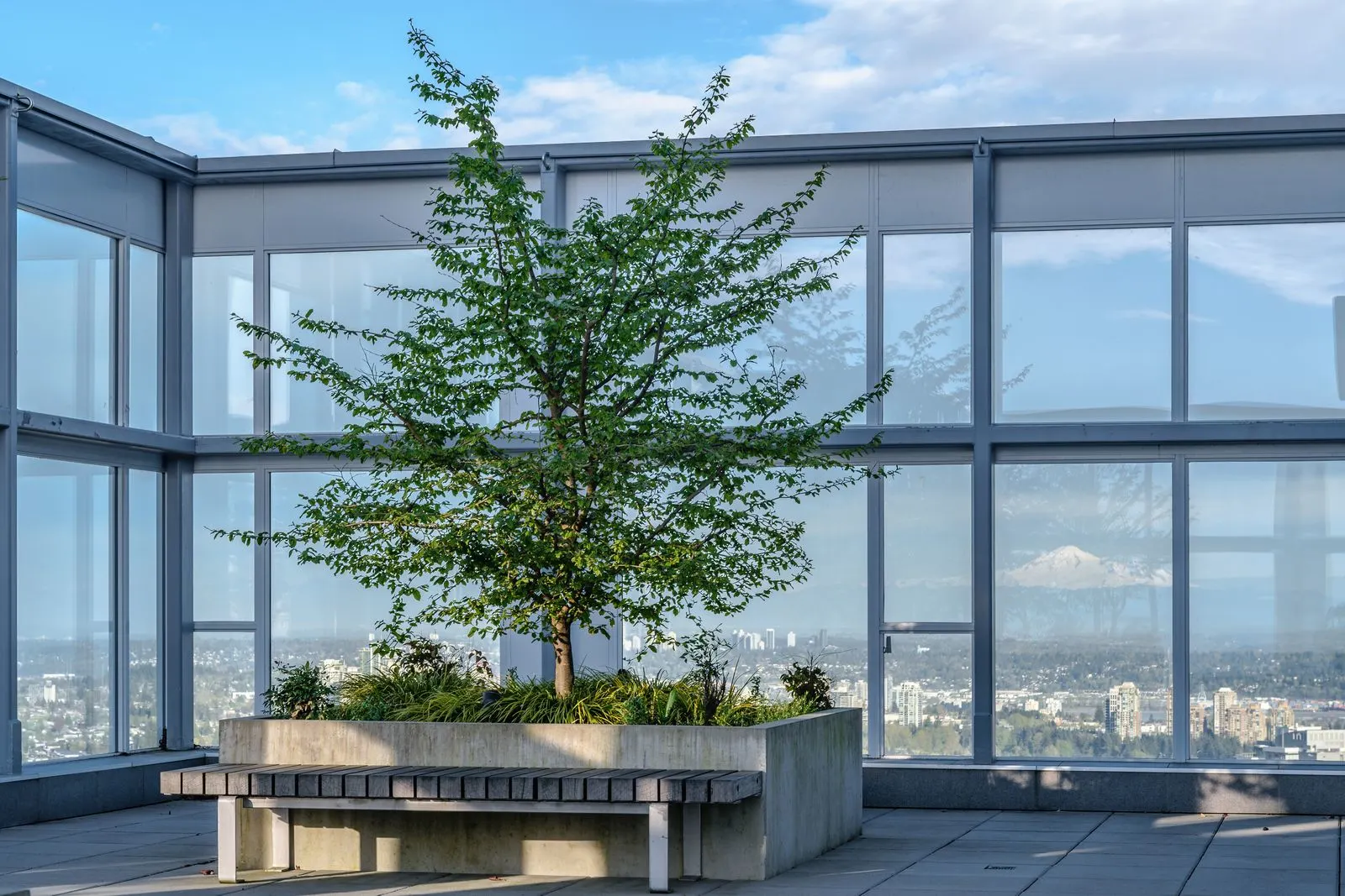 Tree in a planter with bench inside a glass-walled terrace at Station Square 2 and 3