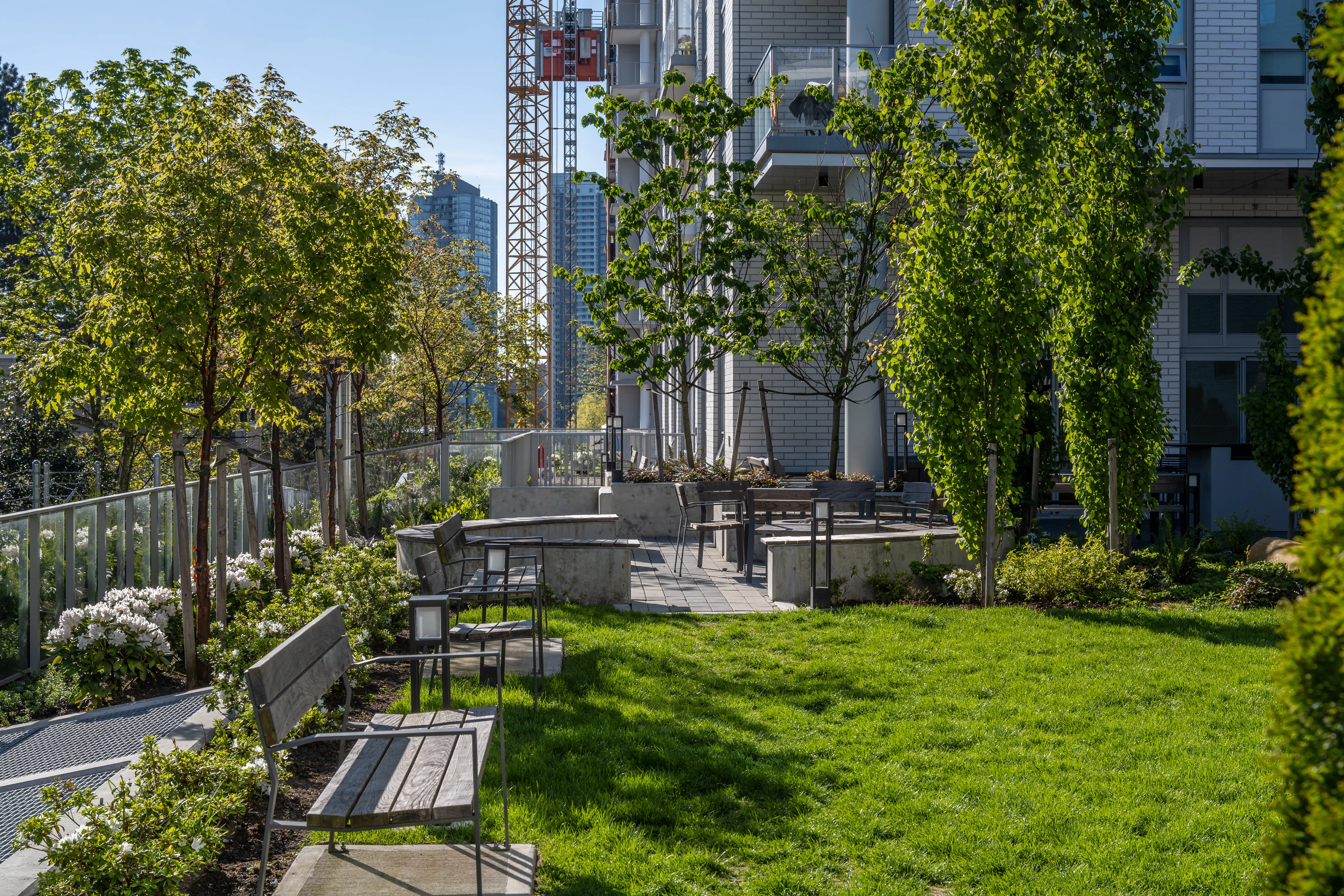 Courtyard lawn with benches and trees at The Holland I