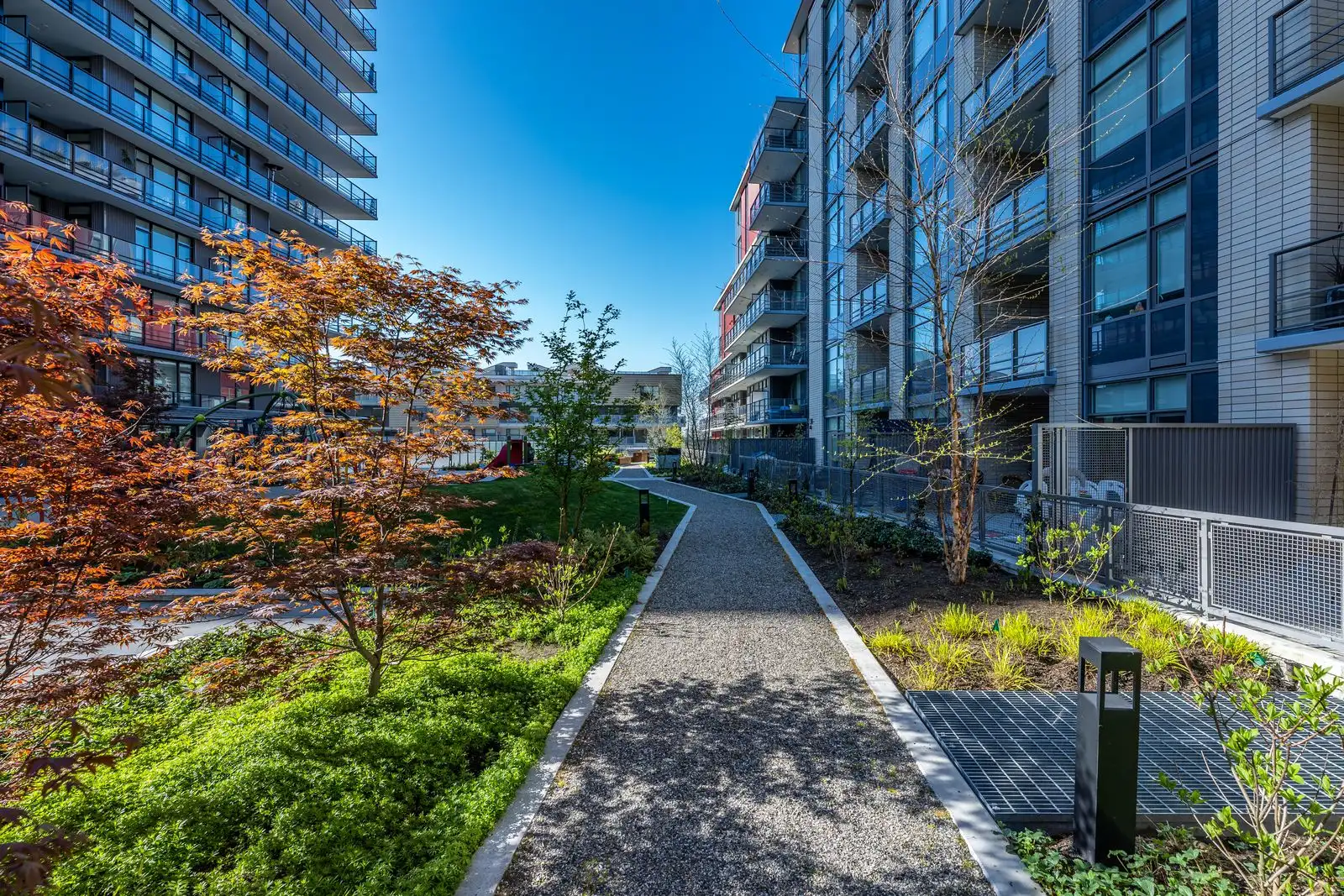Gravel path through planting with a red-leaf tree in a courtyard at Quartet