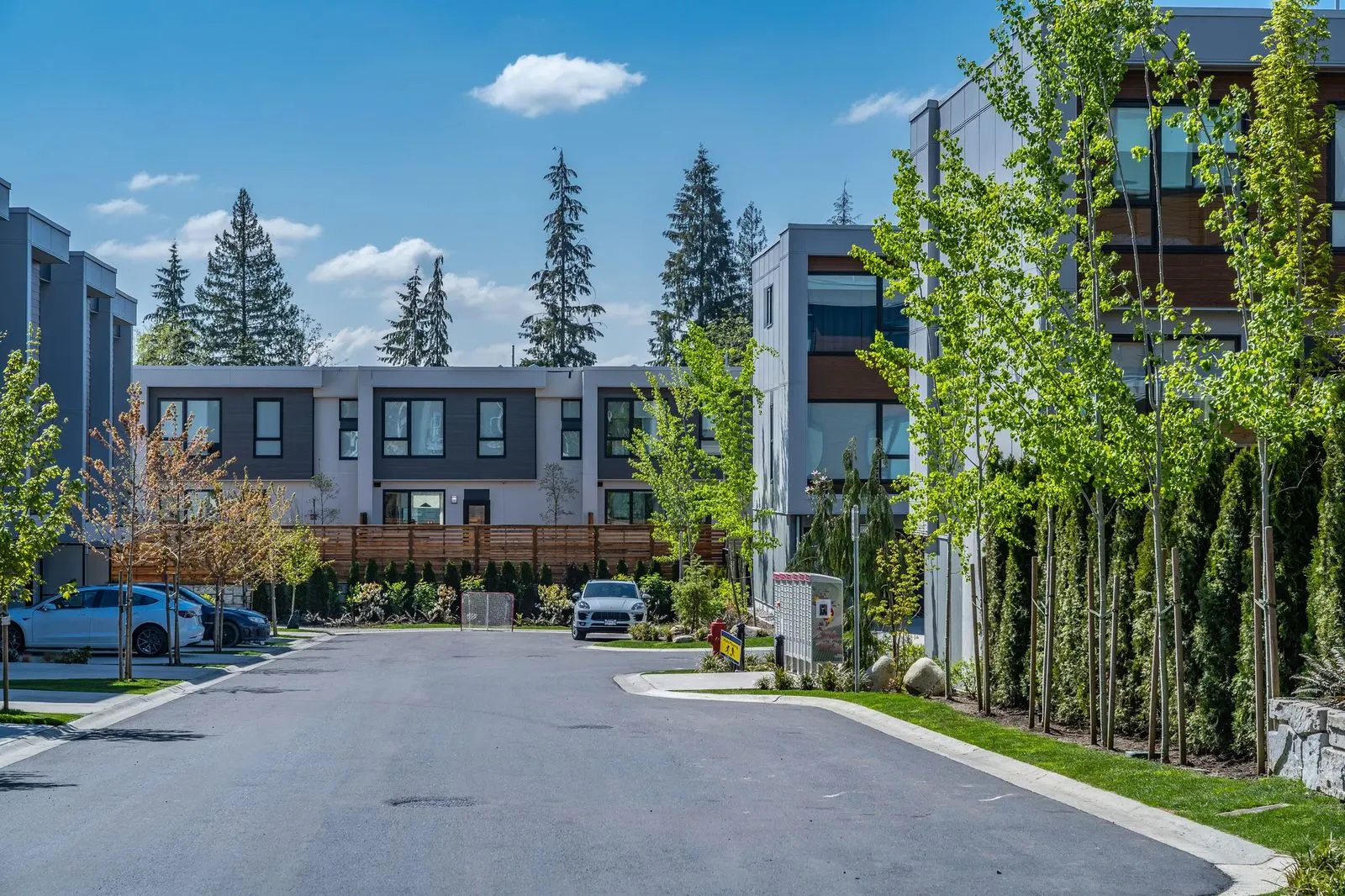 Cul-de-sac with boulevard planting and trees at Seymour Village Amenity Park