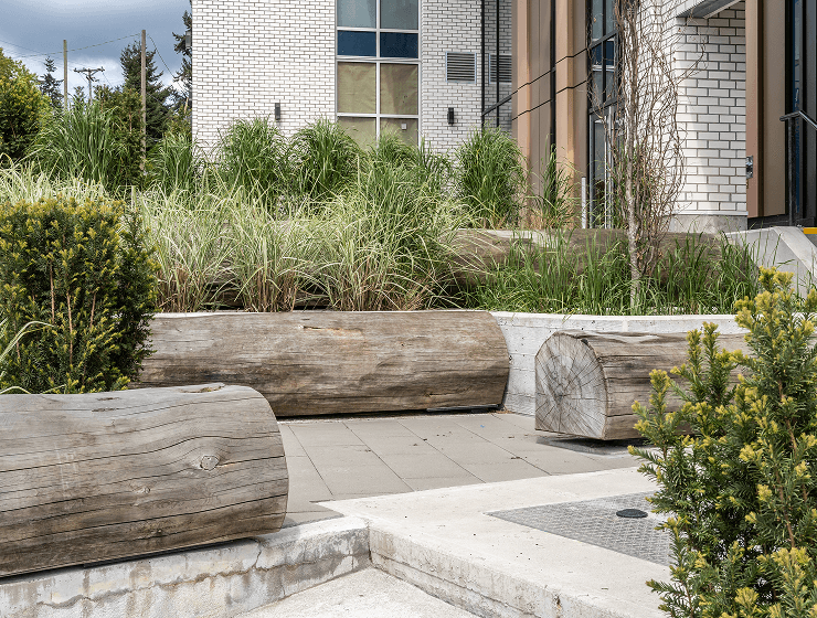 Timber log seating among ornamental grasses in a residential courtyard