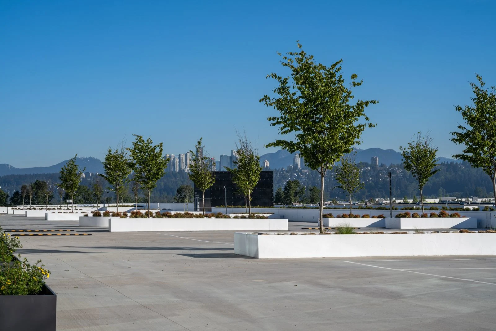 Paved plaza with planters and trees at Riverbend Amazon Warehouse