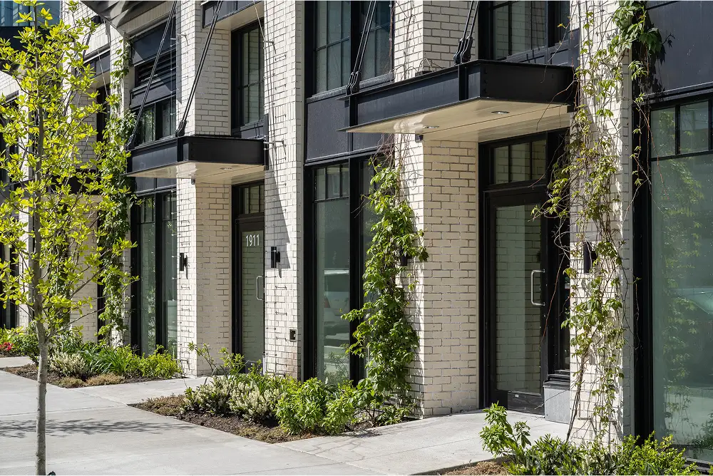 Townhome entries with climbing vines and planting along a white brick facade