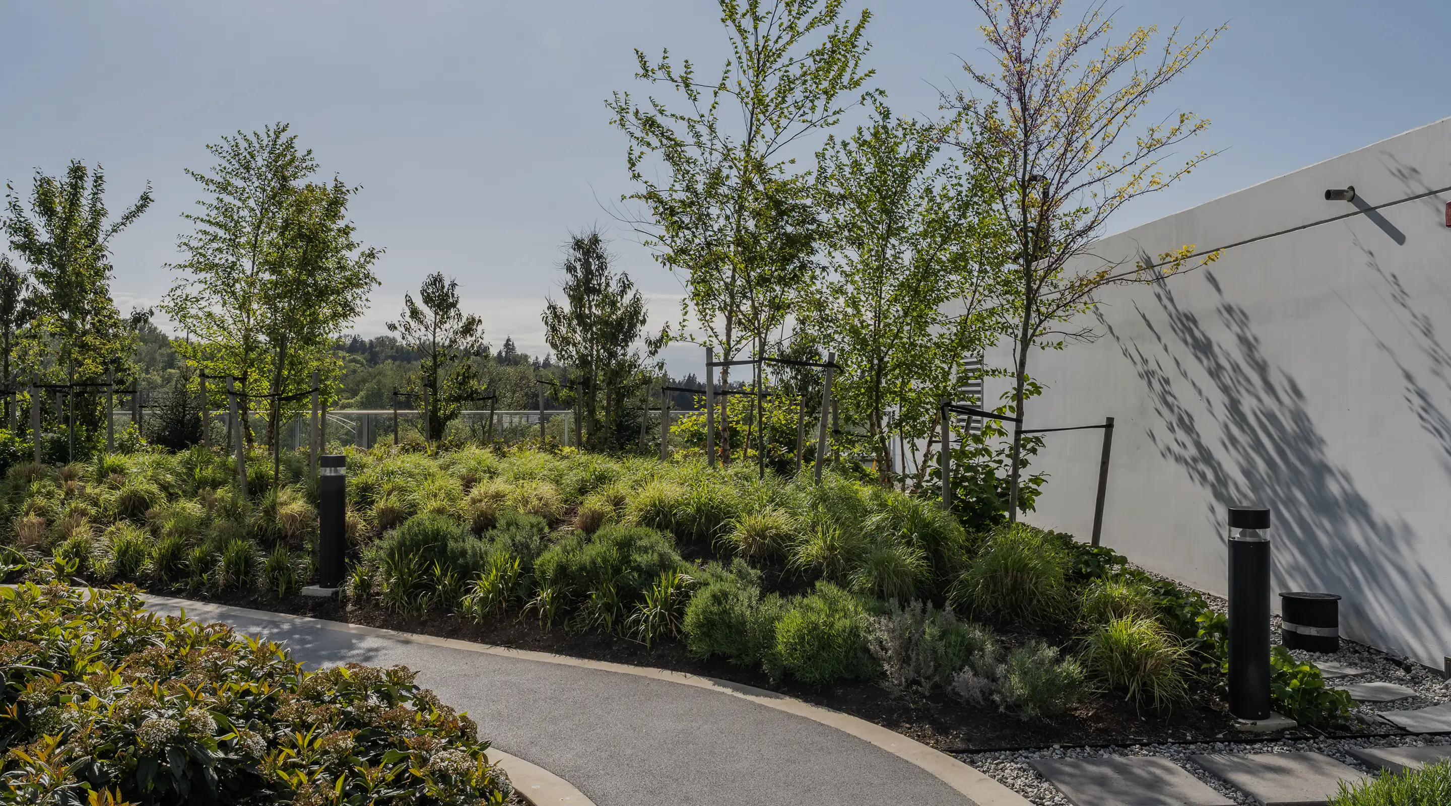 Curved pathway through shrub and tree planting beside a building
