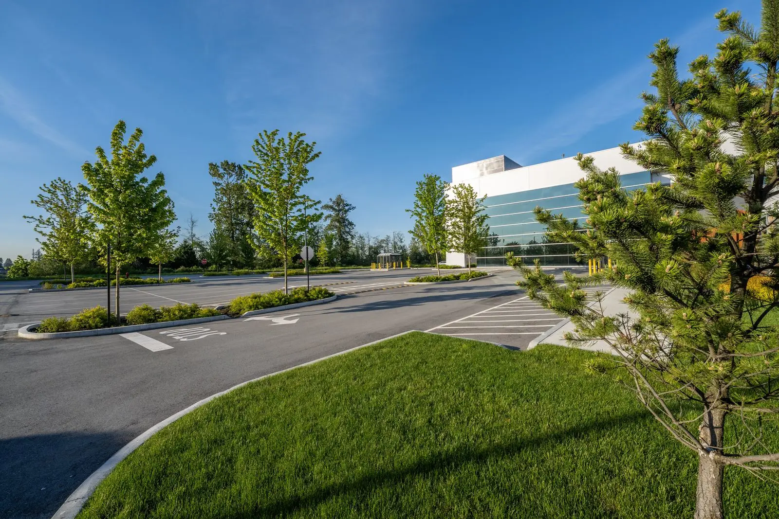 Lawn berm and young trees beside a driveway at Riverbend Amazon Warehouse