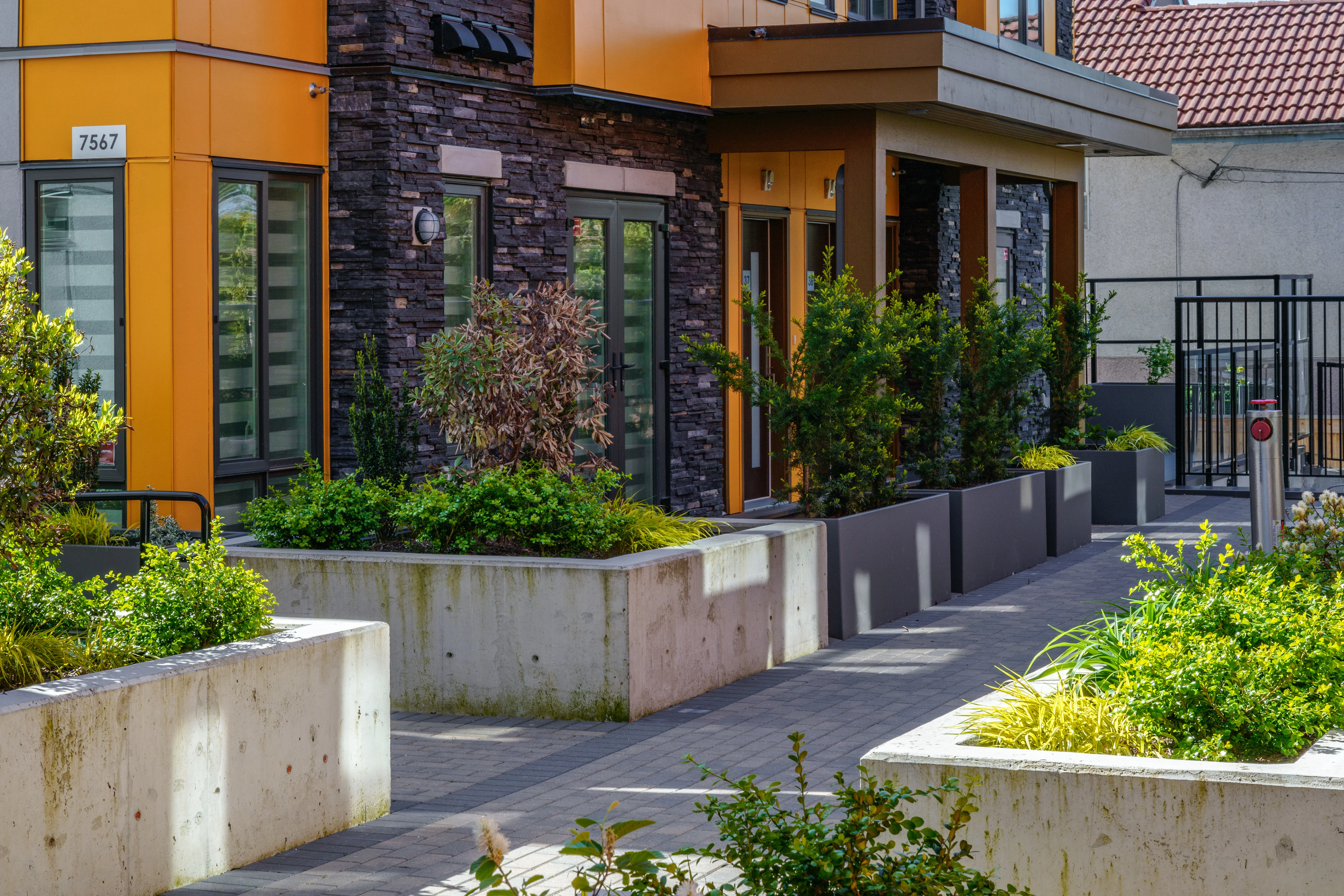 Concrete planters and shrub planting at townhome entries at Terraces at Oak Park