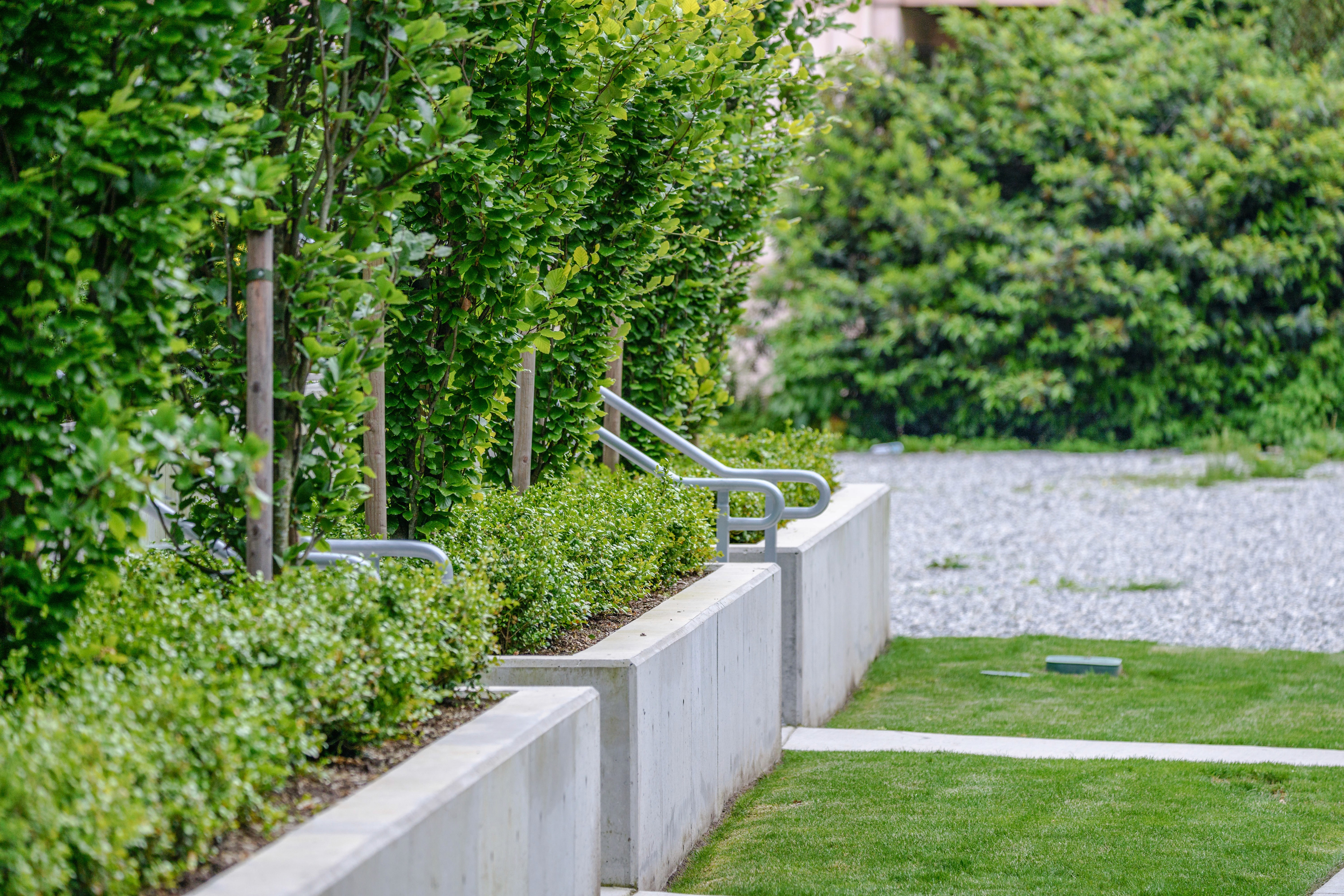 Concrete planters with trees beside lawn and gravel at Origin