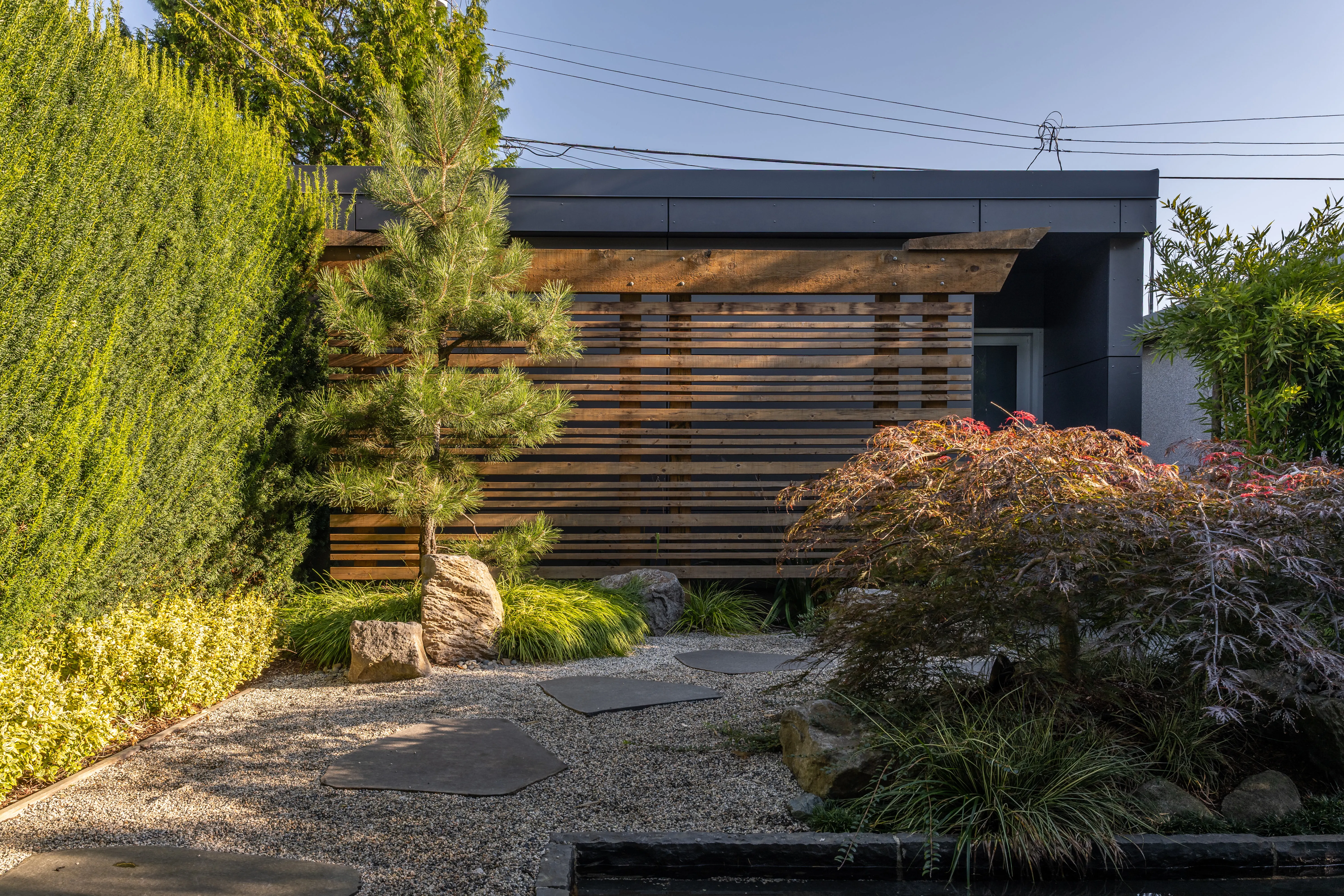 Pine, boulders and red-leaf shrub in a gravel garden at West 9th