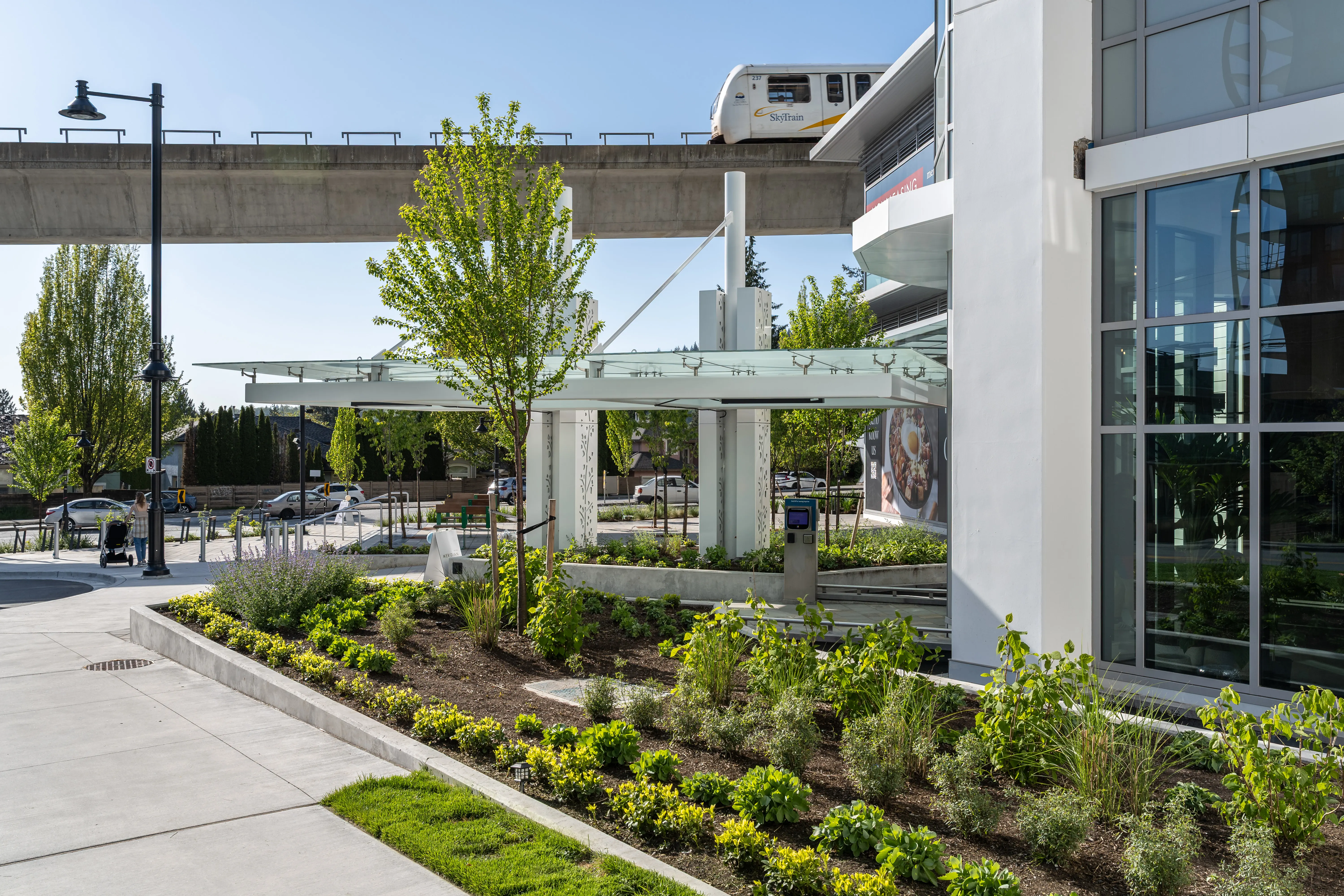 Planting beds and young trees at a building entrance at Meridian