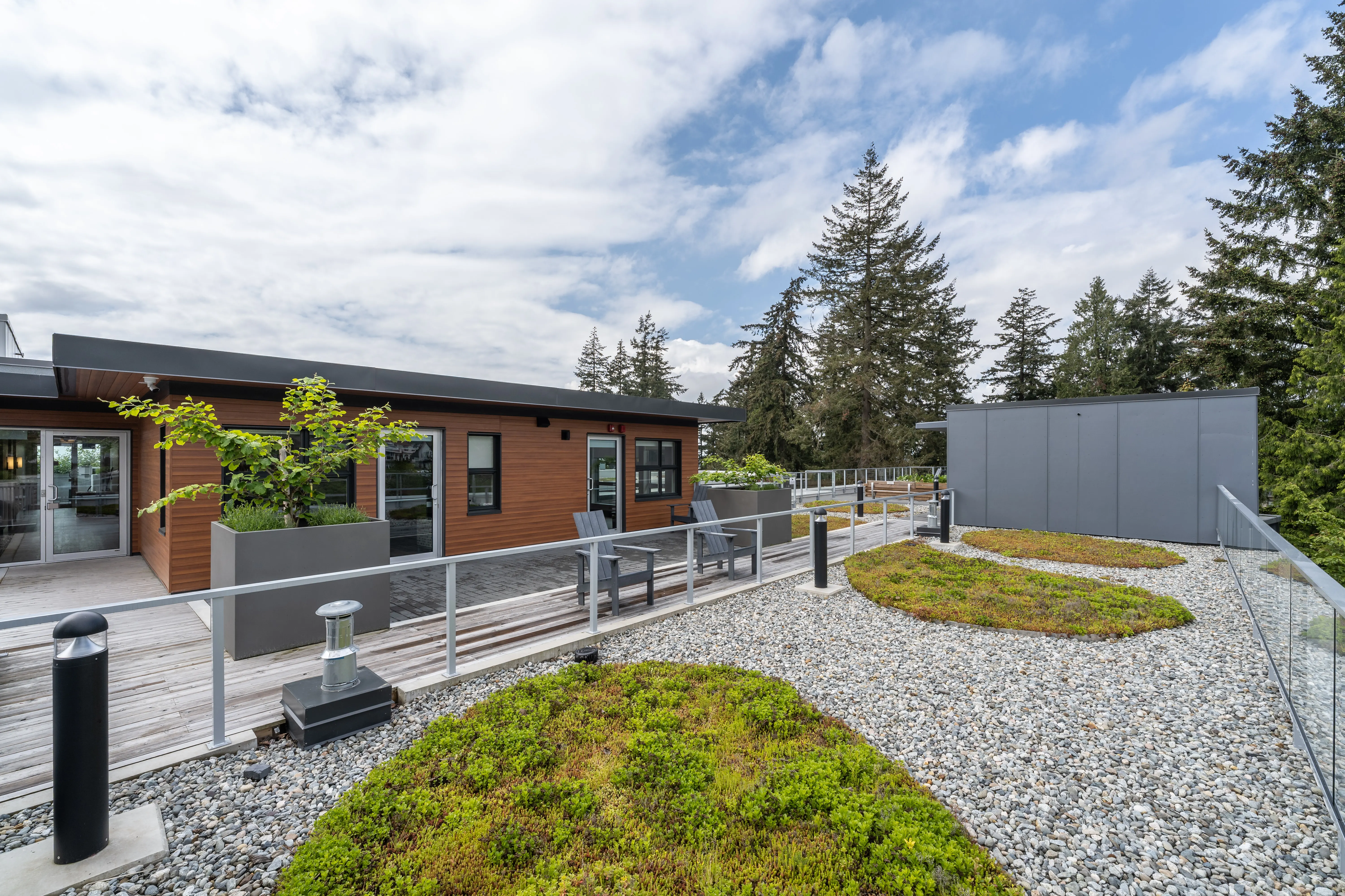Rooftop green roof planting and gravel beside a walkway at L'Arche Community Centre