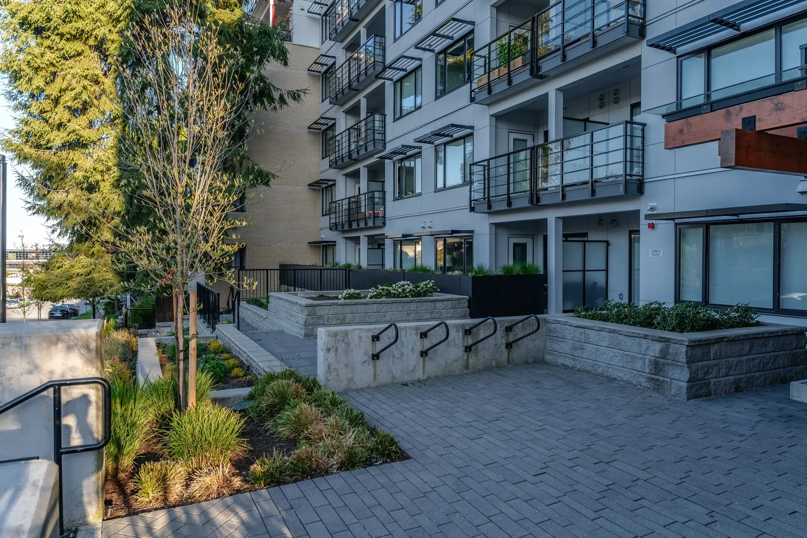 Paved courtyard with trees and planters at The Saint George