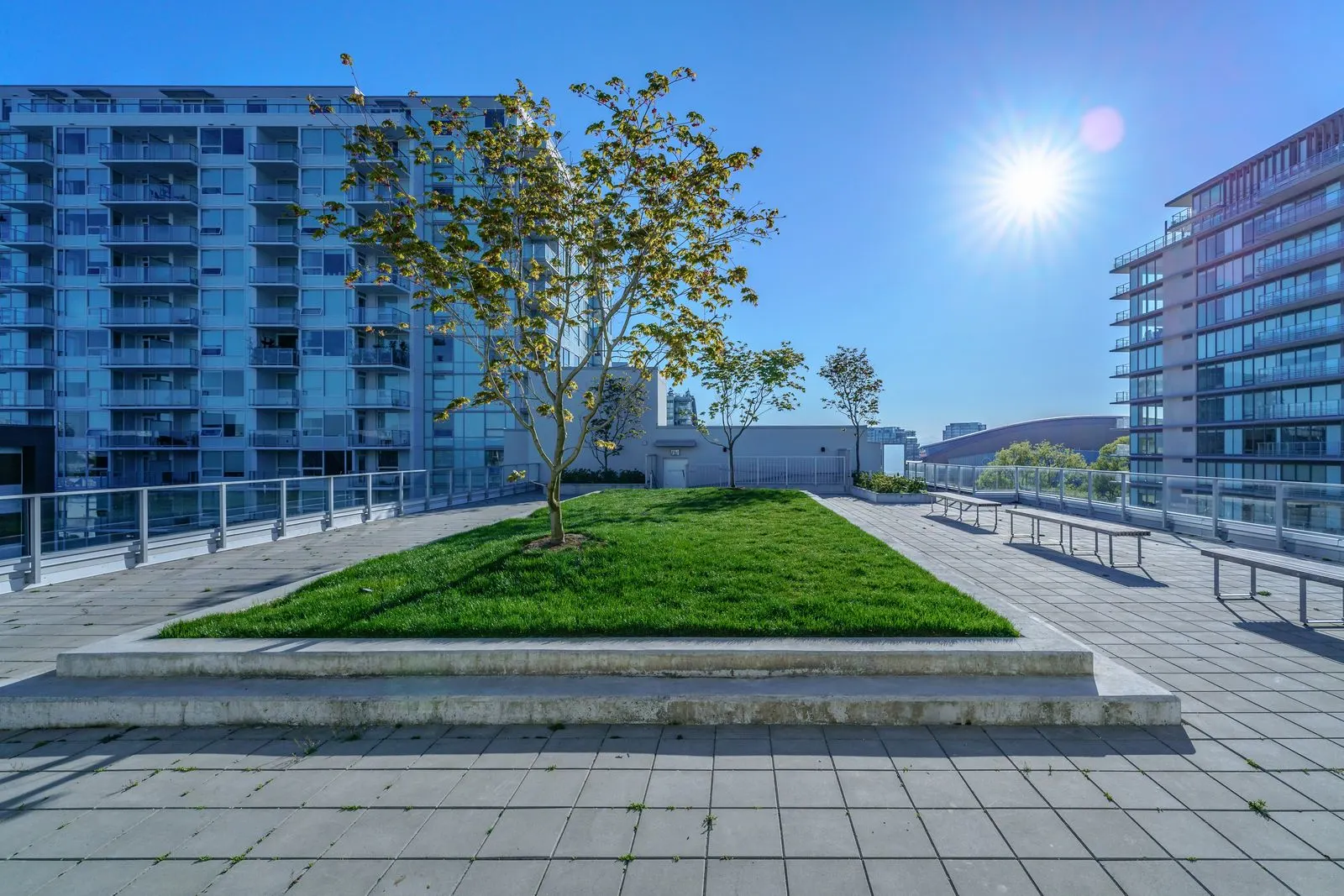 Raised lawn planter with a tree on a rooftop terrace at River Park Place 2