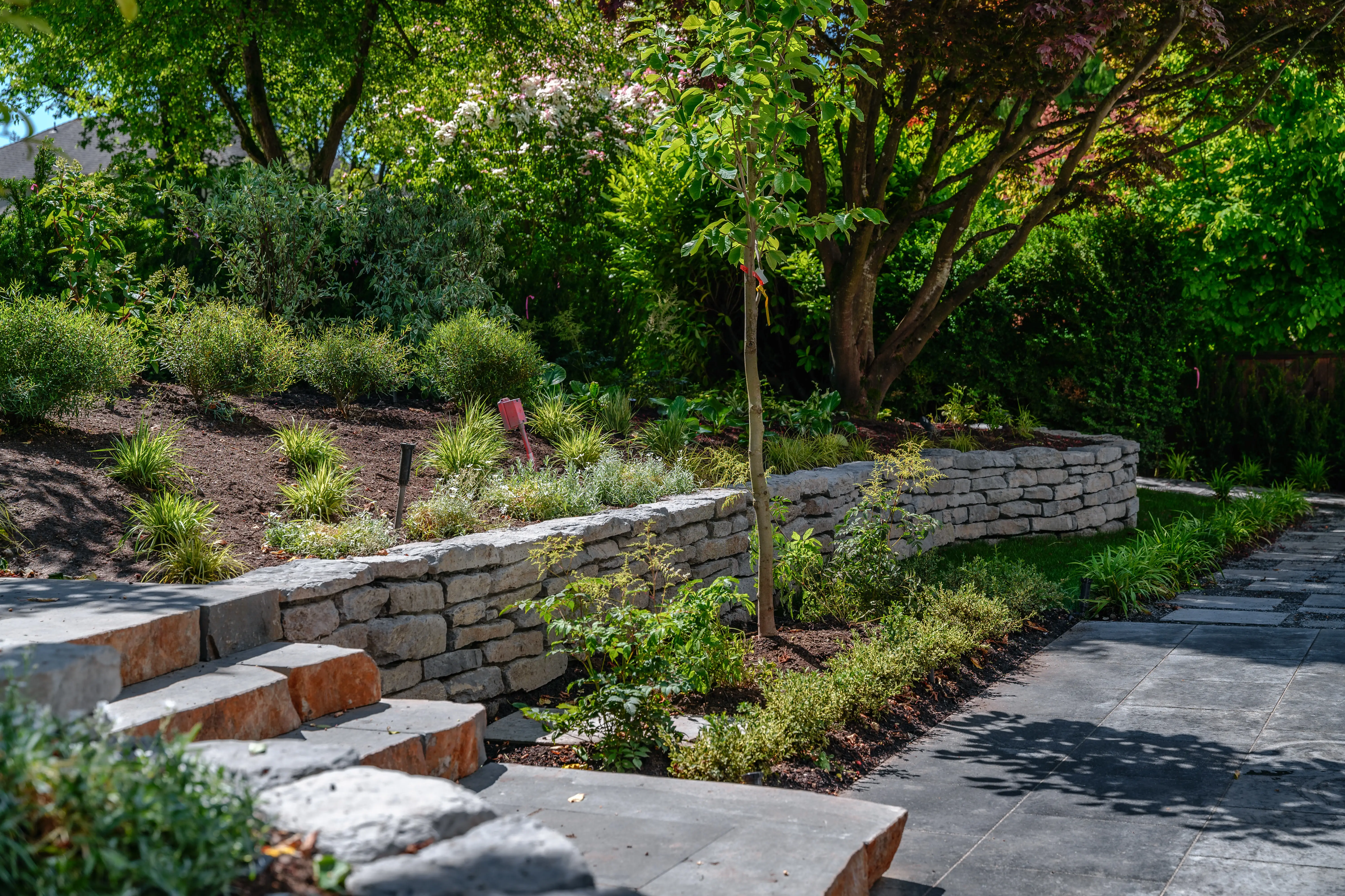 Stacked stone walls and terraced planting beside a path at MacKenzie