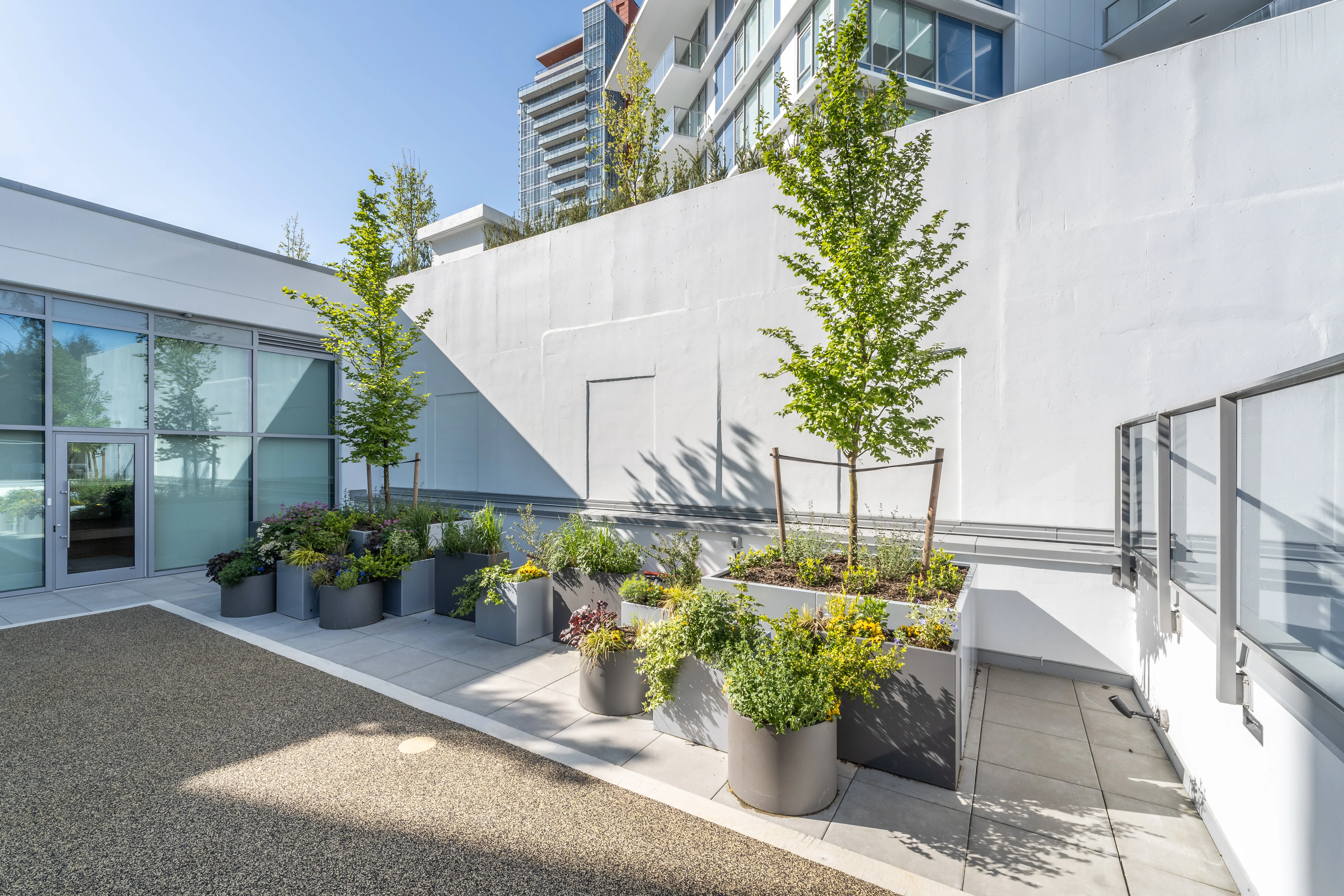 Potted planters and trees on a rooftop terrace at Meridian