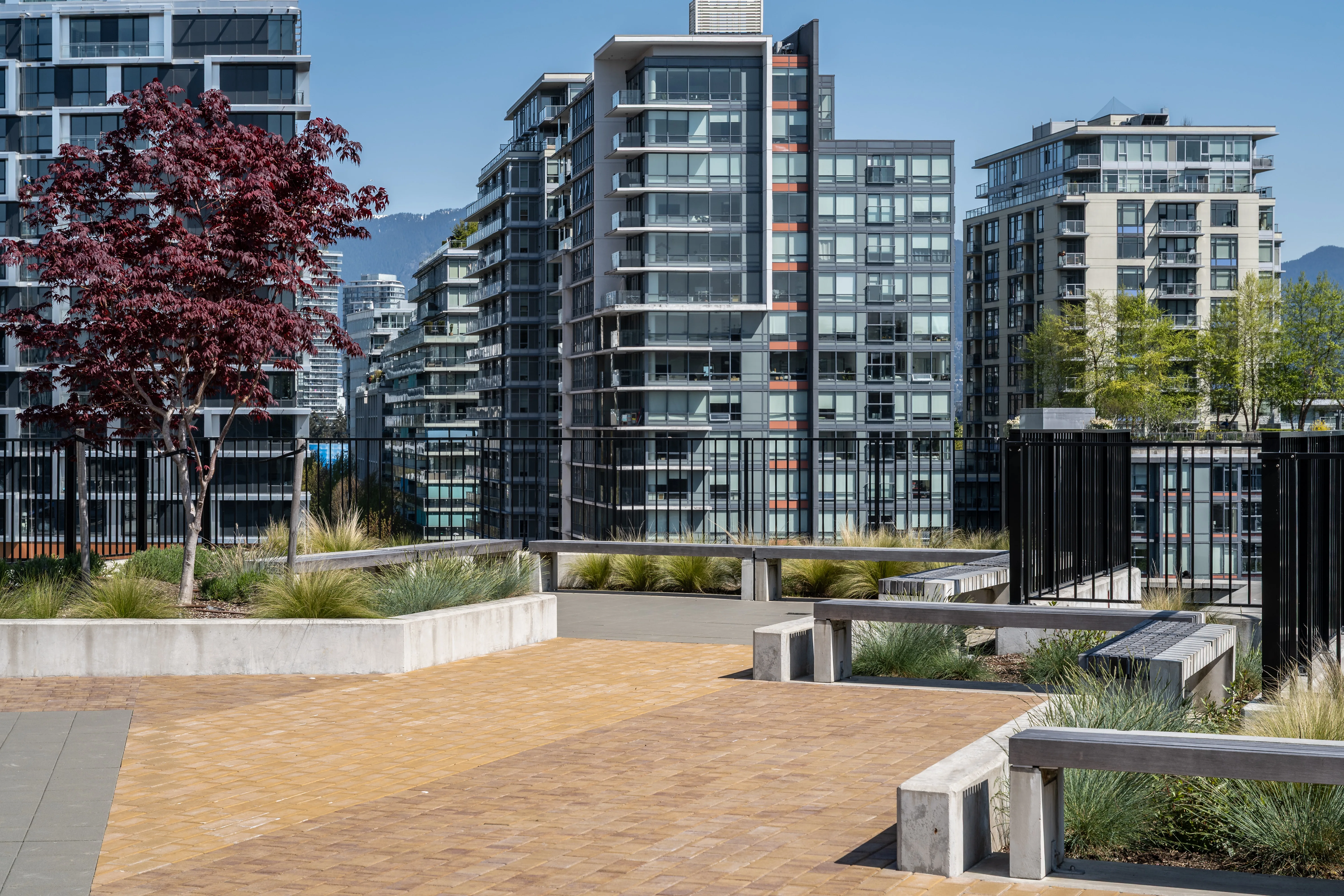 Rooftop paved terrace with benches and planting beds at Ofisworks