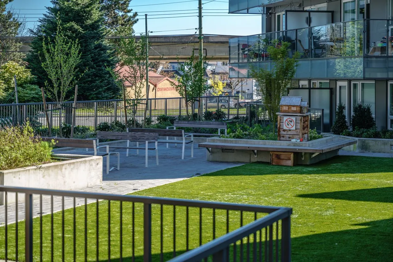 Fenced lawn and courtyard seating area at Conrad
