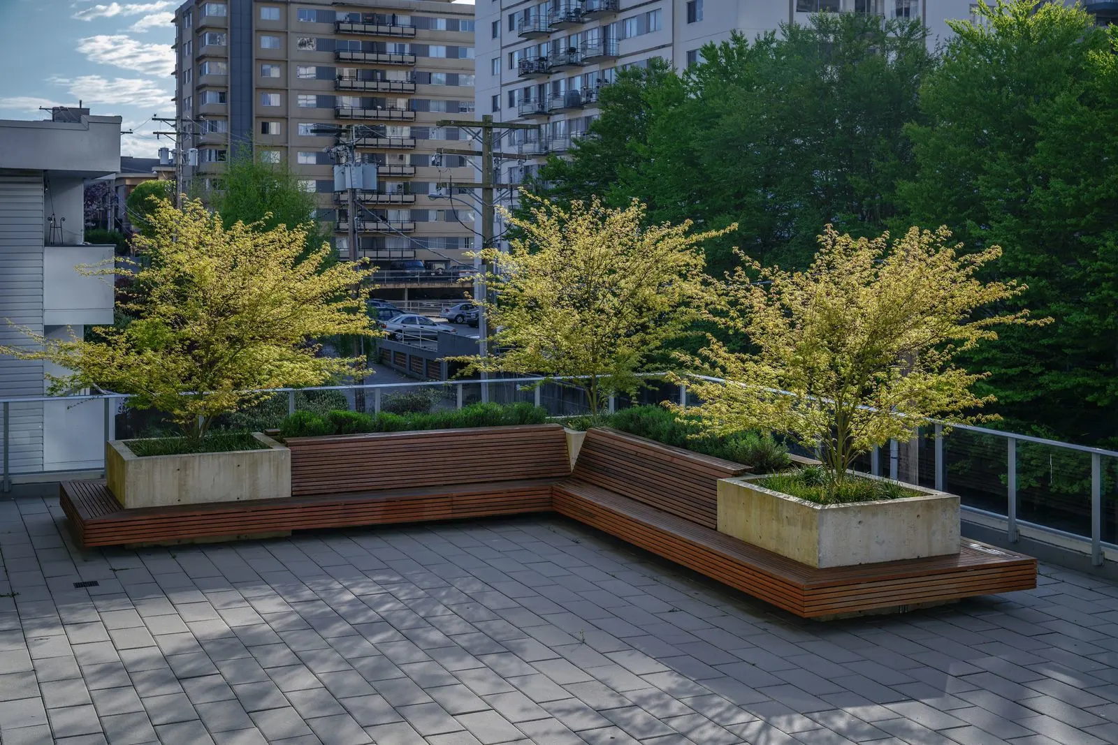 Timber bench wrapping concrete planters with trees on a terrace at The Beverley