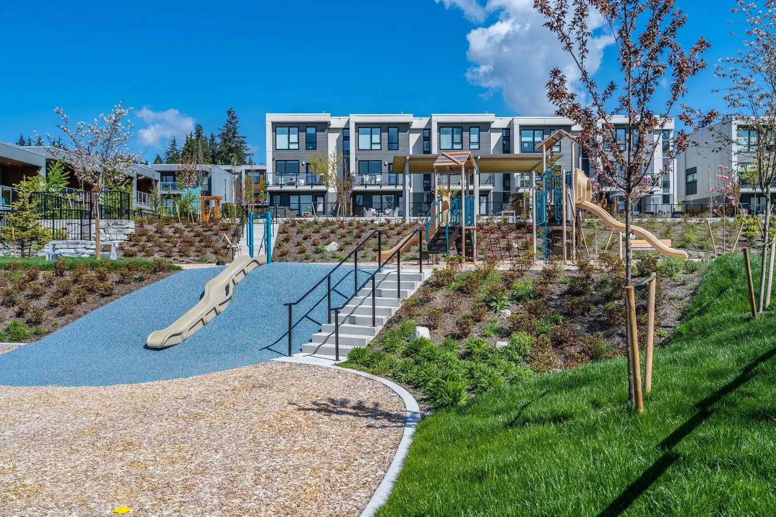 Embankment slide and stairs on a planted slope at Seymour Village Amenity Park