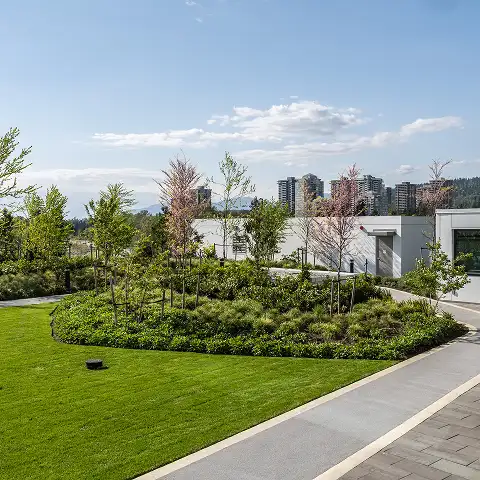 Lawn, curved pathway and planted mounds in a rooftop park