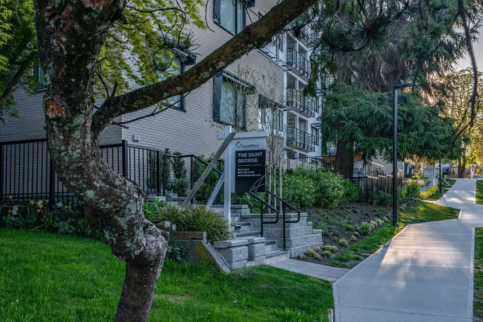 Lawn and walkway under a mature tree at The Saint George