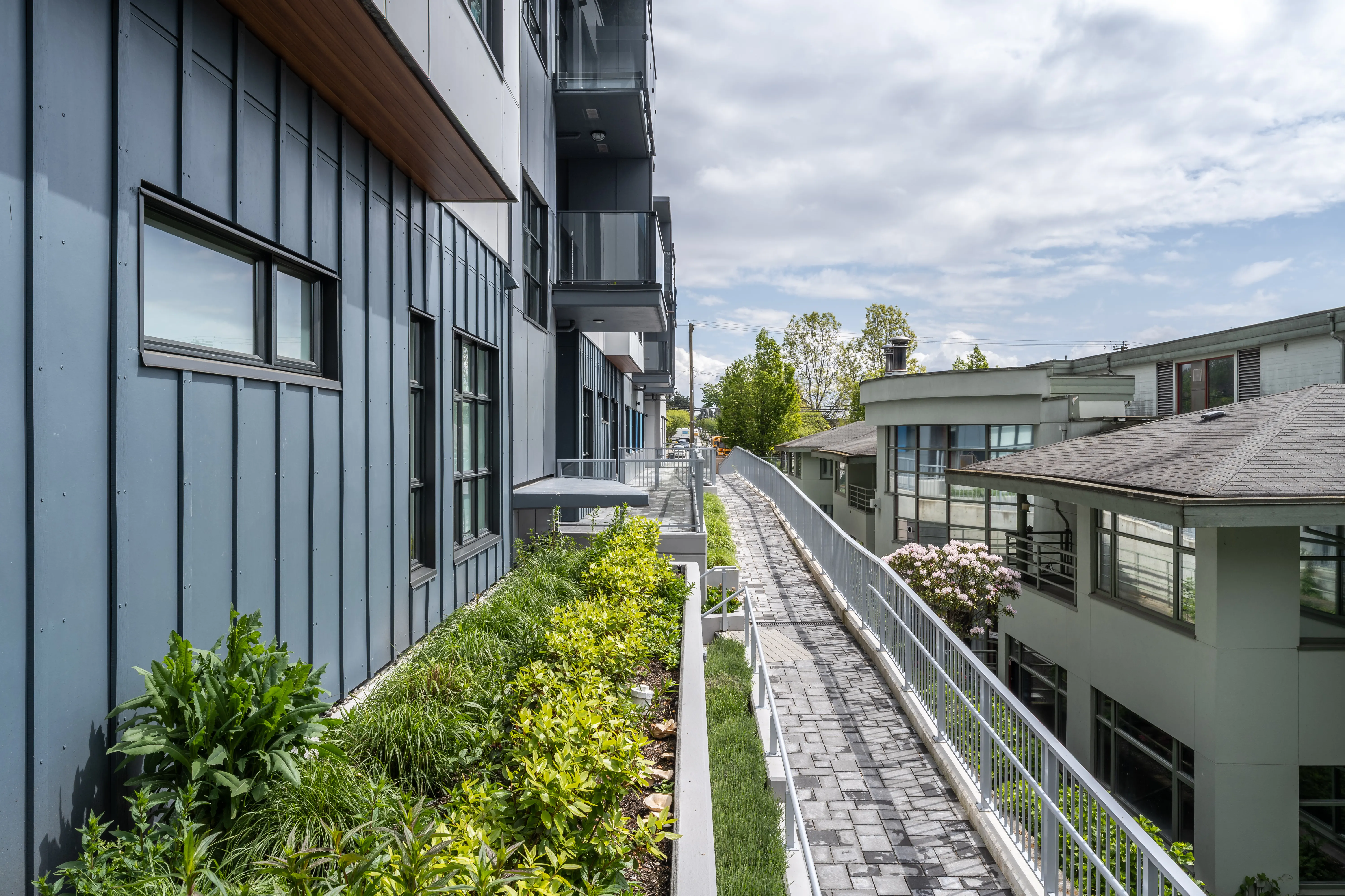 Narrow planting strip beside a rooftop walkway at L'Arche Community Centre