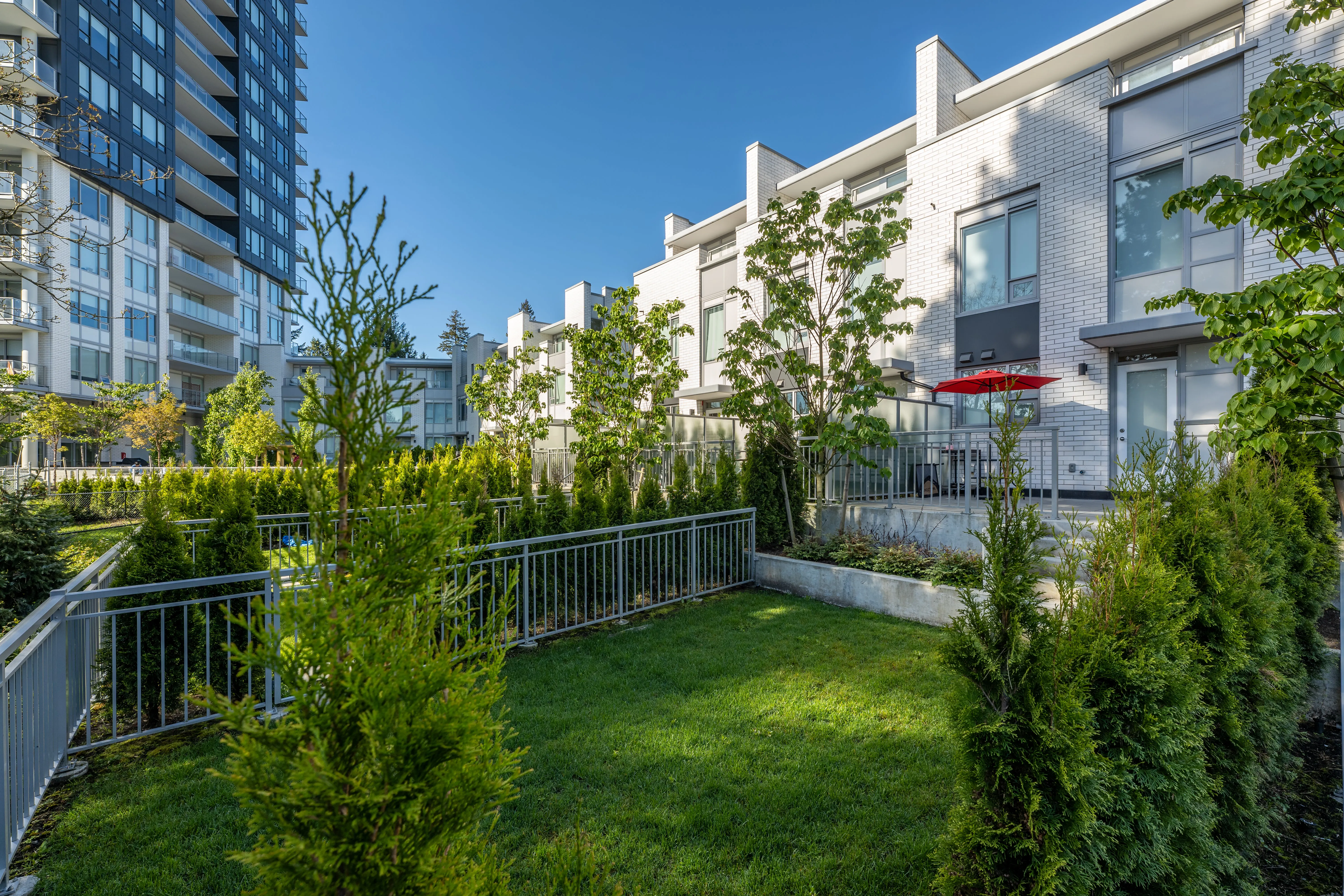 Fenced lawn and hedges beside townhomes at The Holland I