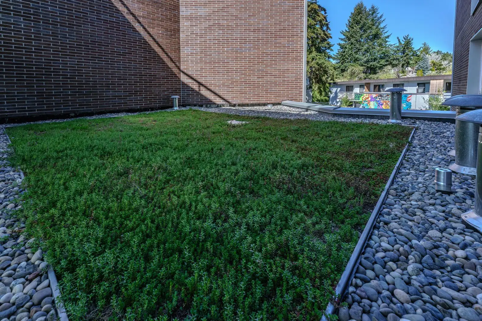 Green roof planting with river rock border at Conrad